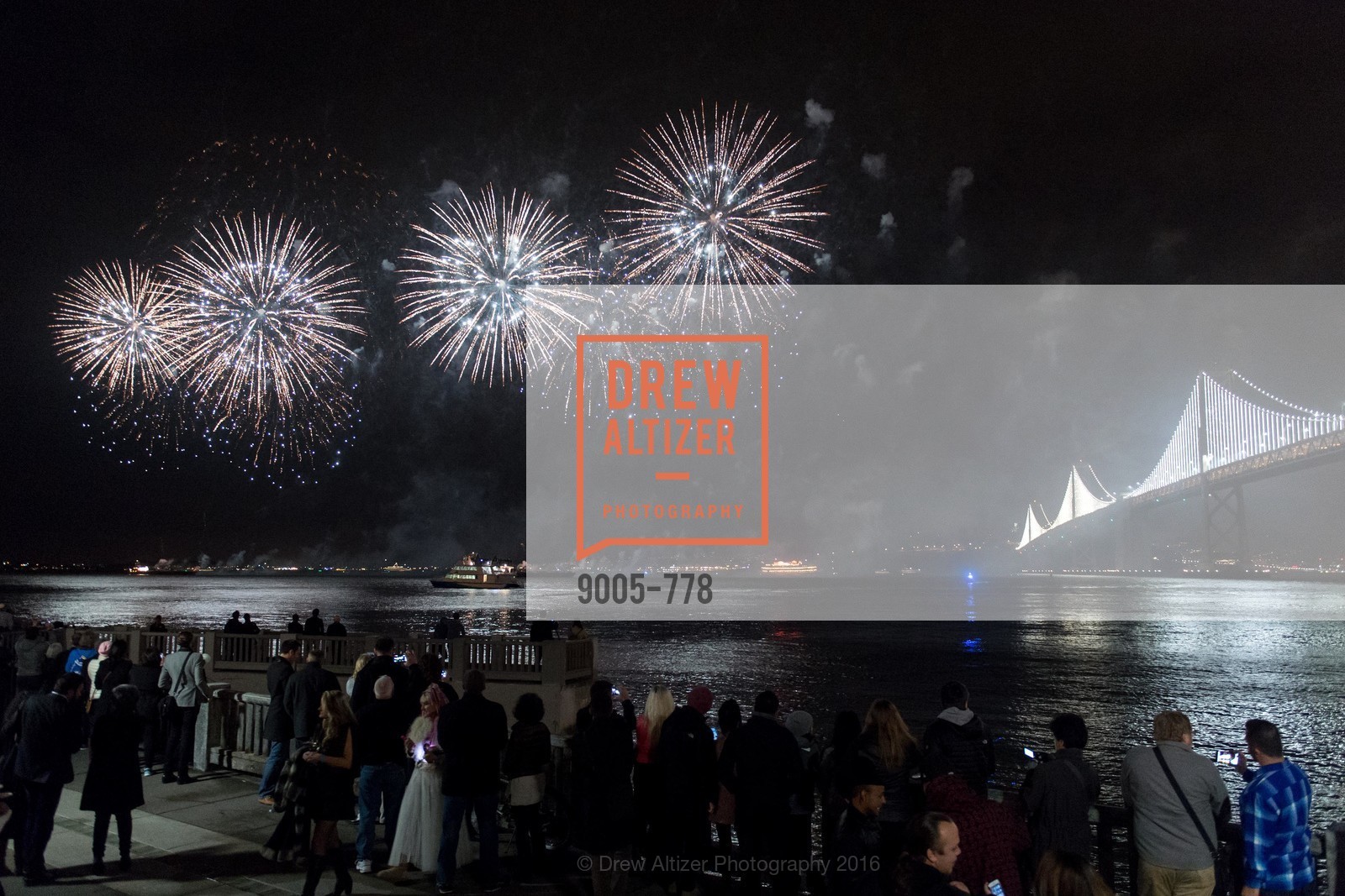 Extras, The Bay Lights Grand Relighting Celebration, January 29th, 2016, Photo,Drew Altizer, Drew Altizer Photography, full-service agency, private events, San Francisco photographer, photographer california