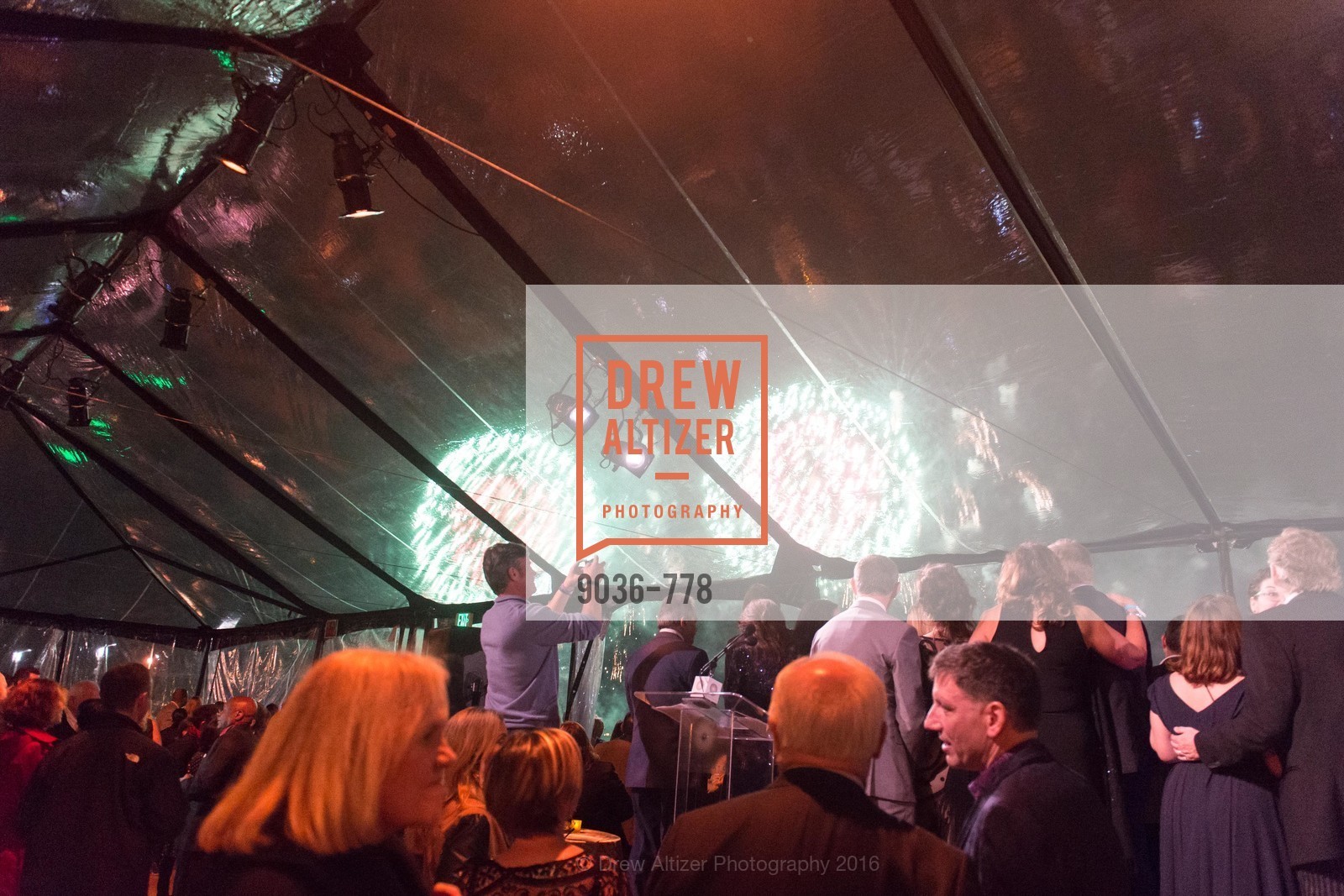 Extras, The Bay Lights Grand Relighting Celebration, January 29th, 2016, Photo