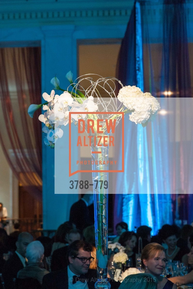 Atmosphere, San Francisco Ballet 2015 Opening Night Gala, San Francisco City Hall. 1 Dr Carlton B Goodlett Pl, January 22nd, 2015,Drew Altizer, Drew Altizer Photography, full-service agency, private events, San Francisco photographer, photographer california