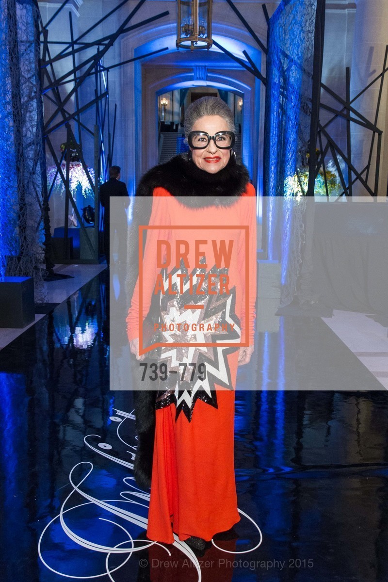 Joy Venturini Bianchi, San Francisco Ballet 2015 Opening Night Gala, San Francisco City Hall. 1 Dr Carlton B Goodlett Pl, January 22nd, 2015,Drew Altizer, Drew Altizer Photography, full-service agency, private events, San Francisco photographer, photographer california