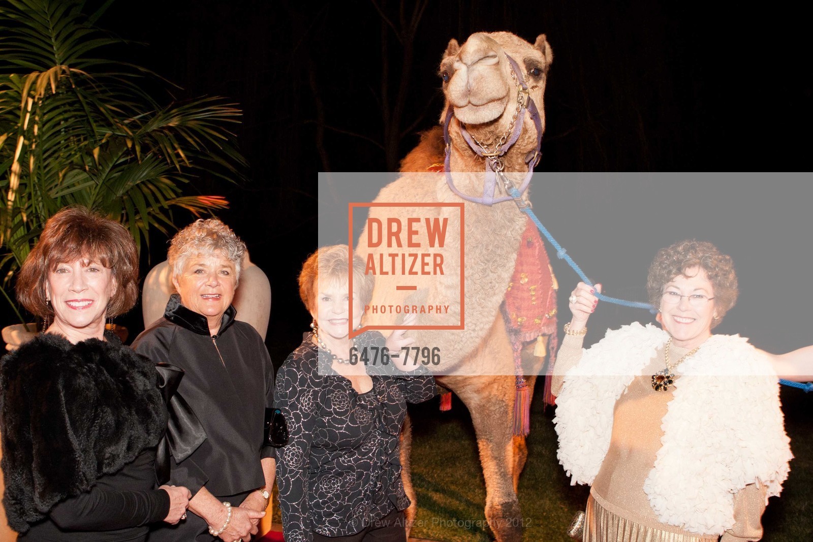 Karen Curtis, Suzanne Holm, Linda Yellich, Terri Battes, JILLIAN MANUS & ALAN SALZMAN Valentines Arrival Photo Line with Camel, US, February 11th, 2012, Photo #6476-7796 Karen Curtis, Suzanne Holm, Linda Yellich, Terri Battes, Photo #6476-7796