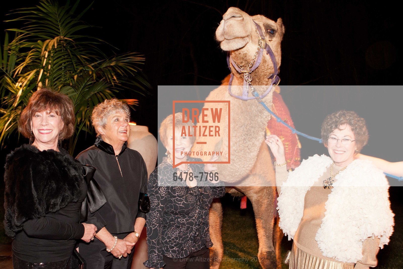 Karen Curtis, Suzanne Holm, Linda Yellich, Terri Battes, Photo #6478-7796