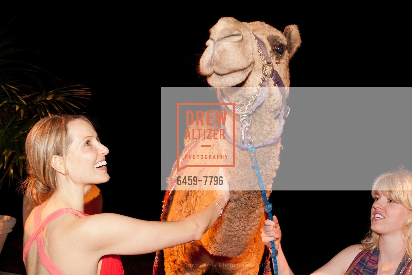 Julia Ralston, JILLIAN MANUS & ALAN SALZMAN Valentines Arrival Photo Line with Camel, US, February 11th, 2012, Photo #6459-7796 Julia Ralston, Photo #6459-7796