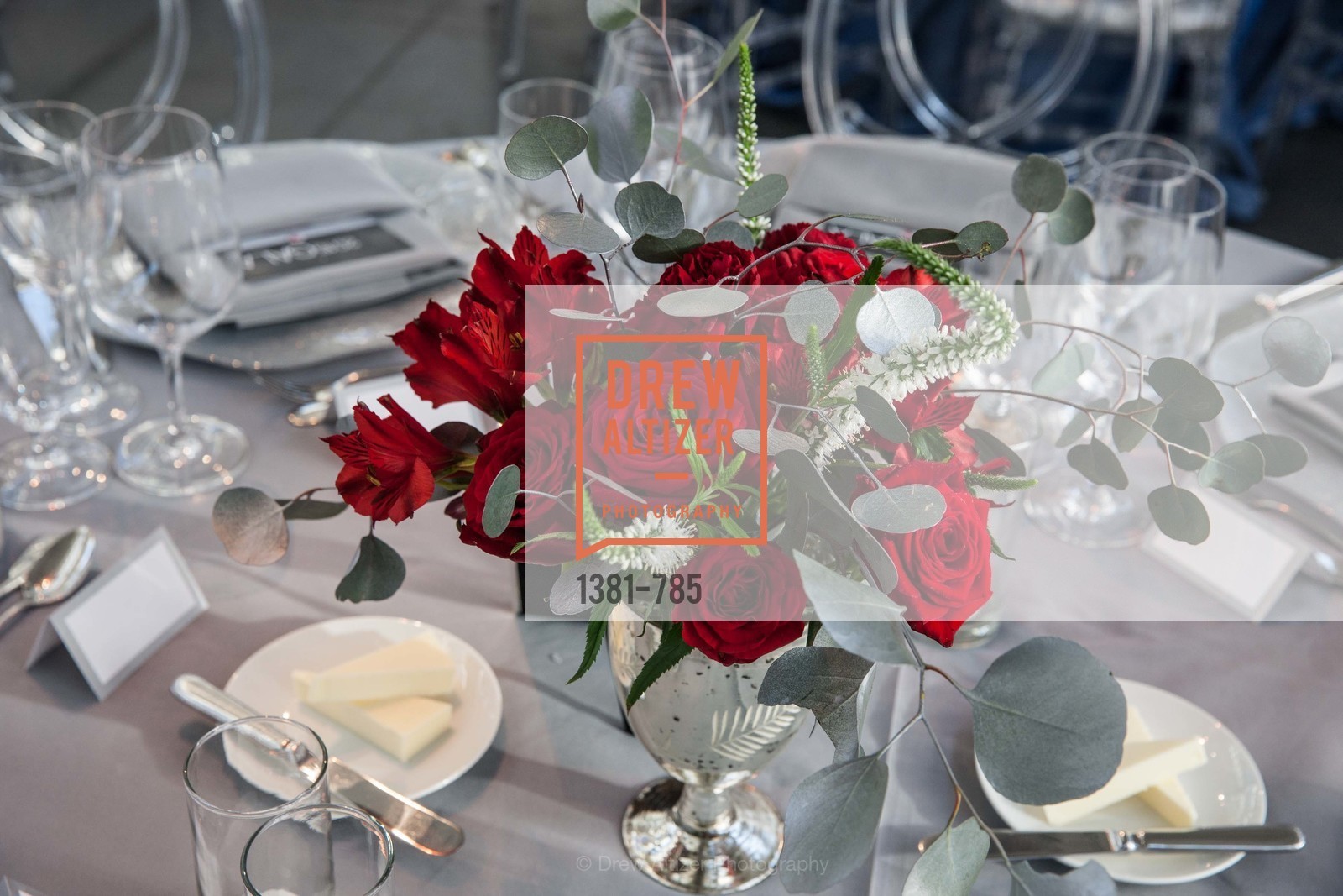 Atmosphere, 2015 RED CROSS Gala, US, April 12th, 2015,Drew Altizer, Drew Altizer Photography, full-service agency, private events, San Francisco photographer, photographer california