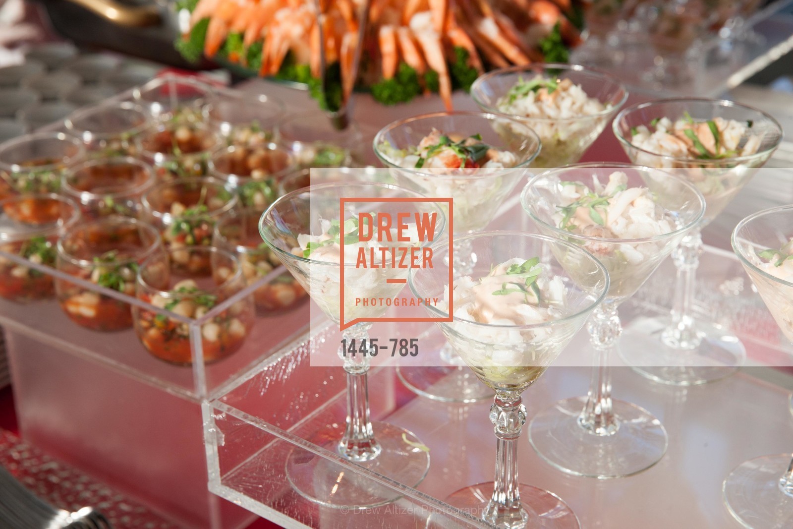 Atmosphere, 2015 RED CROSS Gala, US, April 12th, 2015,Drew Altizer, Drew Altizer Photography, full-service agency, private events, San Francisco photographer, photographer california