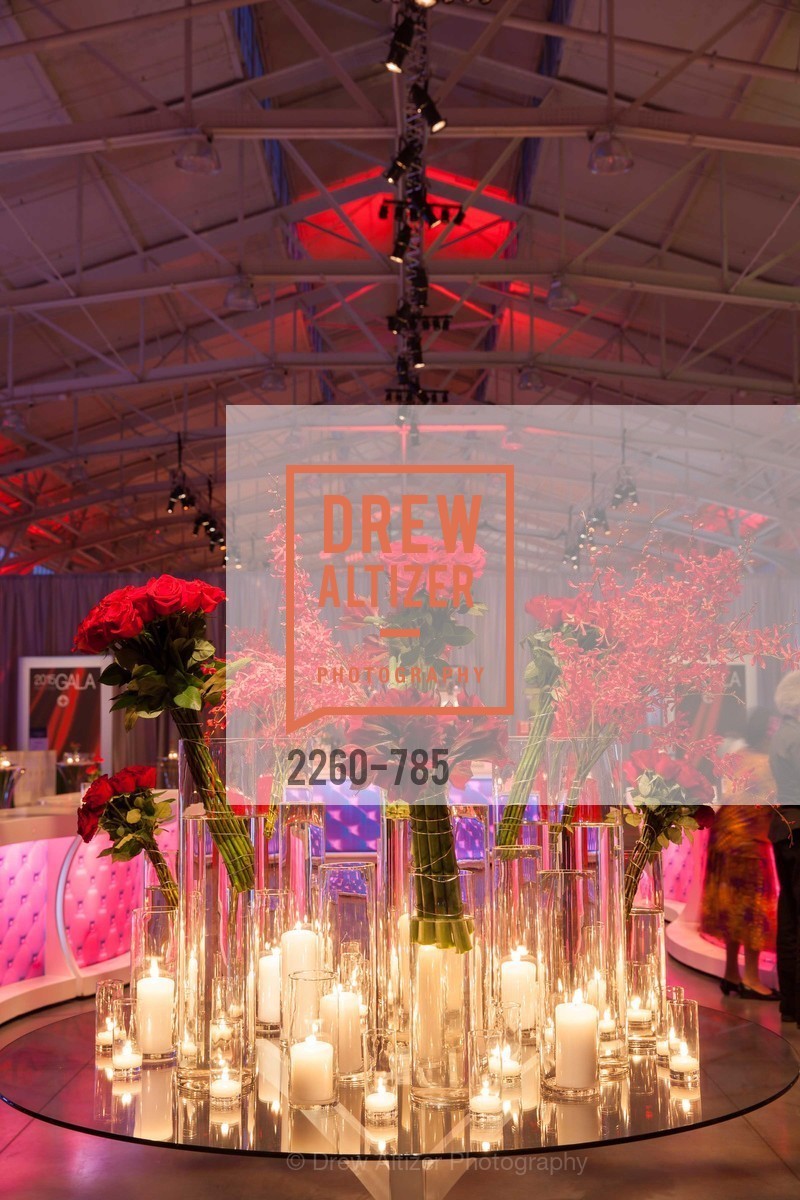 Atmosphere, 2015 RED CROSS Gala, US, April 12th, 2015,Drew Altizer, Drew Altizer Photography, full-service agency, private events, San Francisco photographer, photographer california