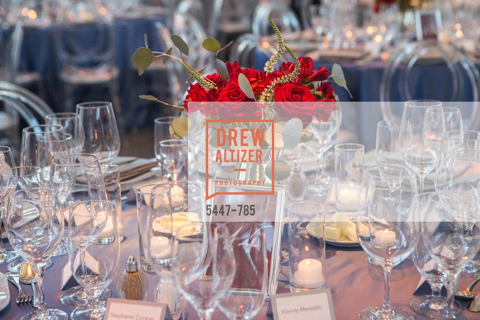 Atmosphere, 2015 RED CROSS Gala, US, April 12th, 2015,Drew Altizer, Drew Altizer Photography, full-service agency, private events, San Francisco photographer, photographer california