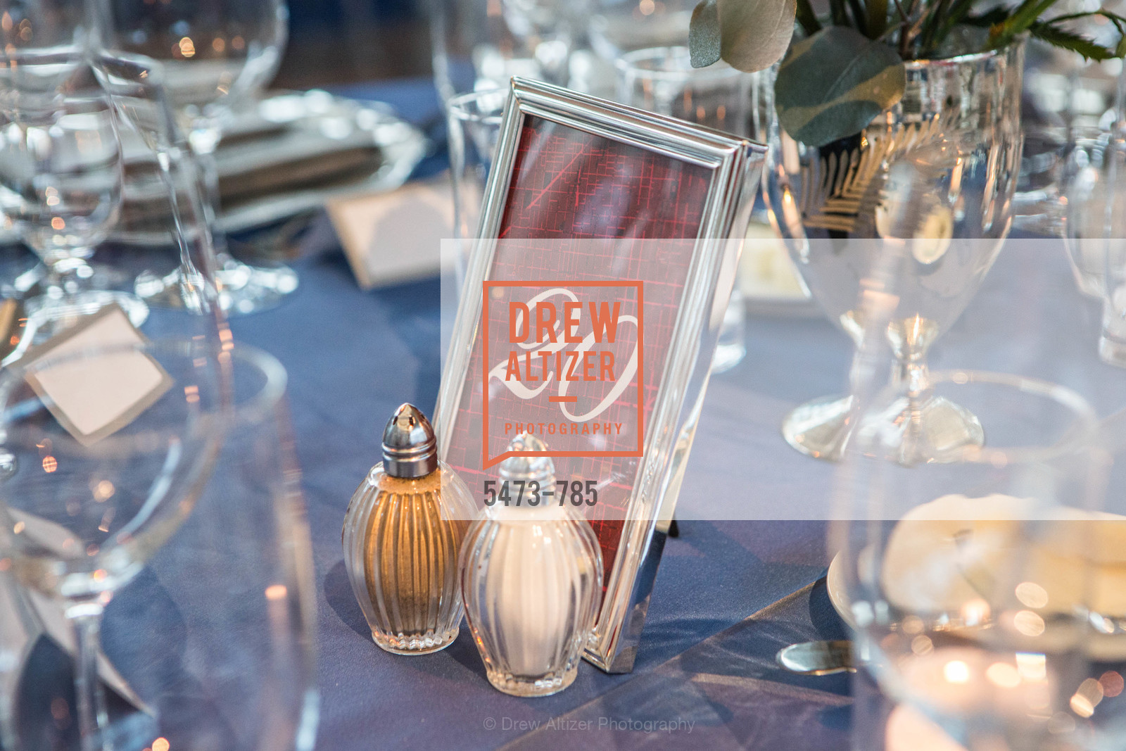 Atmosphere, 2015 RED CROSS Gala, US, April 12th, 2015,Drew Altizer, Drew Altizer Photography, full-service agency, private events, San Francisco photographer, photographer california