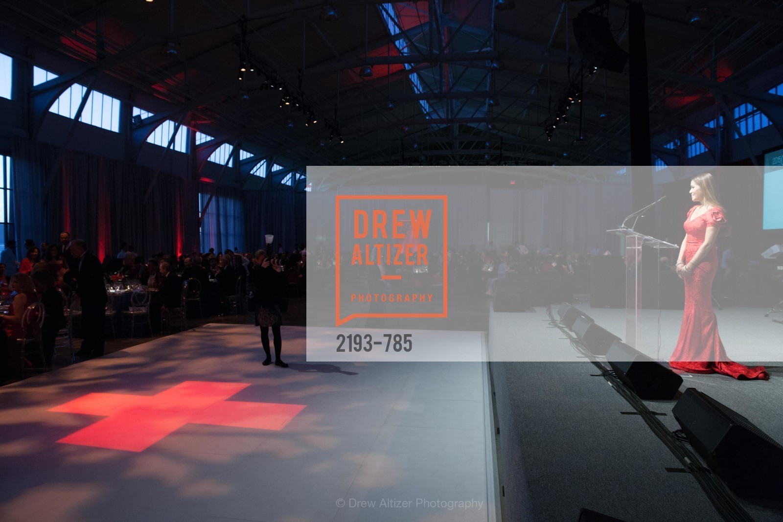 Lillian Phan, 2015 RED CROSS Gala, US, April 12th, 2015,Drew Altizer, Drew Altizer Photography, full-service agency, private events, San Francisco photographer, photographer california