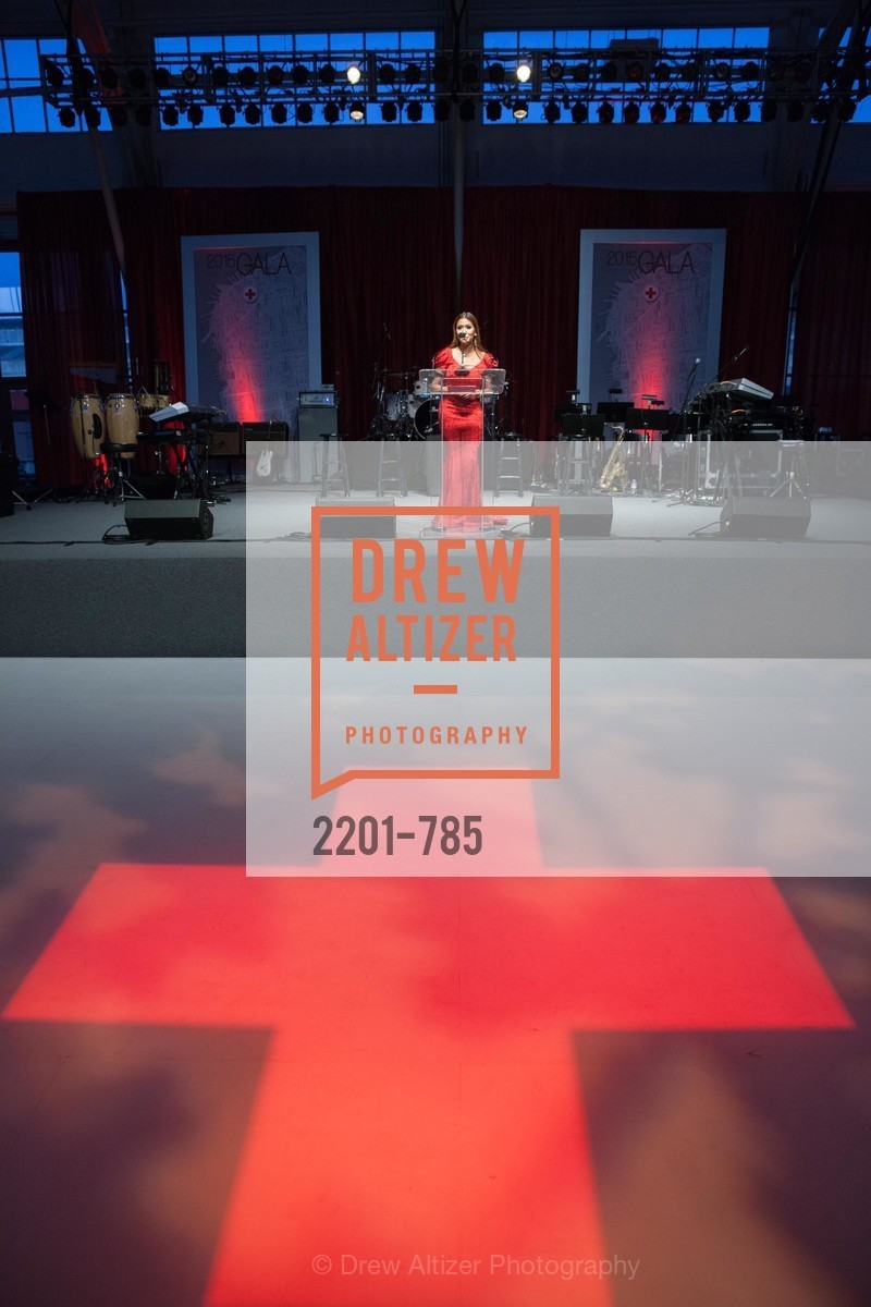 Lillian Phan, 2015 RED CROSS Gala, US, April 12th, 2015,Drew Altizer, Drew Altizer Photography, full-service agency, private events, San Francisco photographer, photographer california