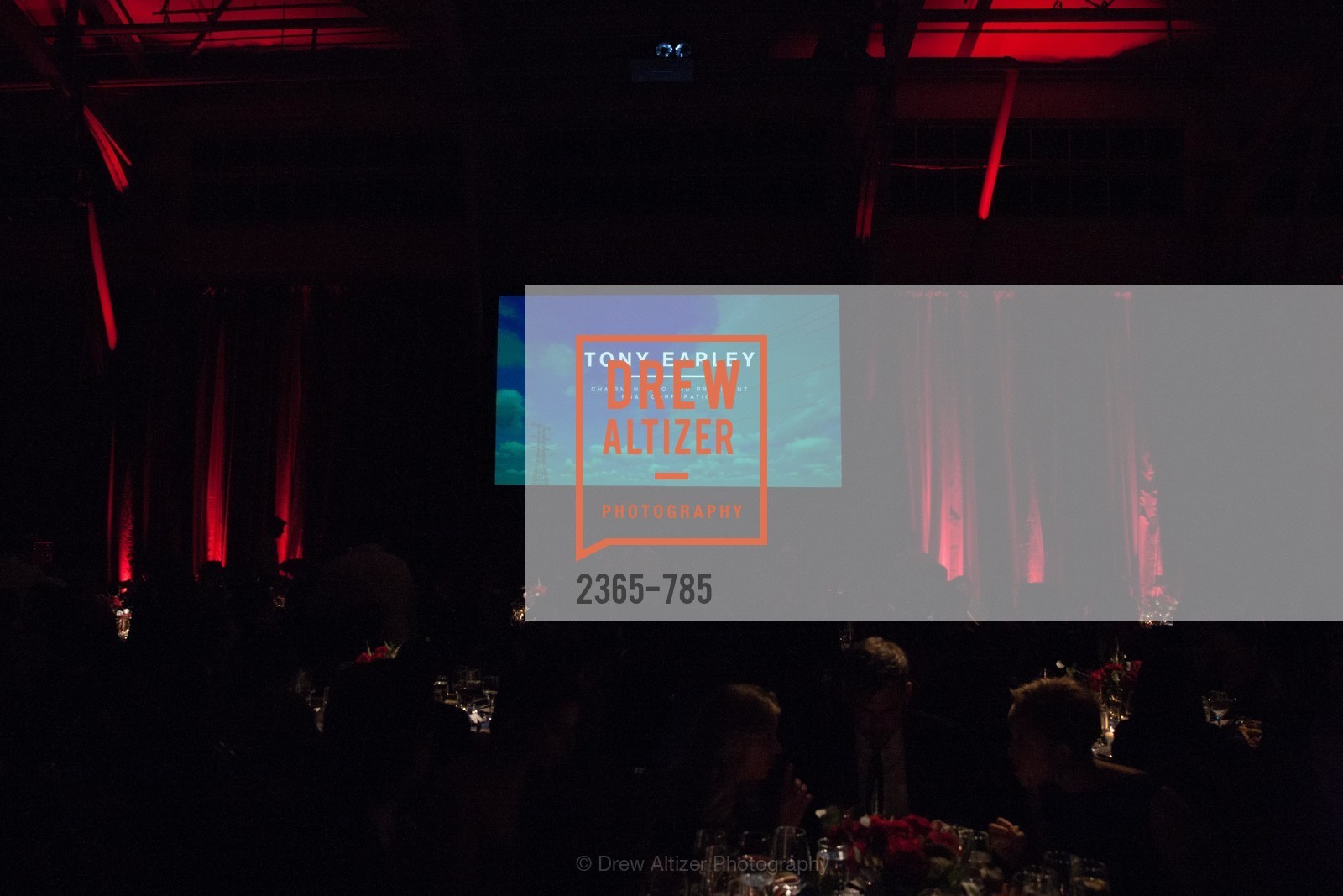 Atmospehre, 2015 RED CROSS Gala, US, April 12th, 2015,Drew Altizer, Drew Altizer Photography, full-service agency, private events, San Francisco photographer, photographer california