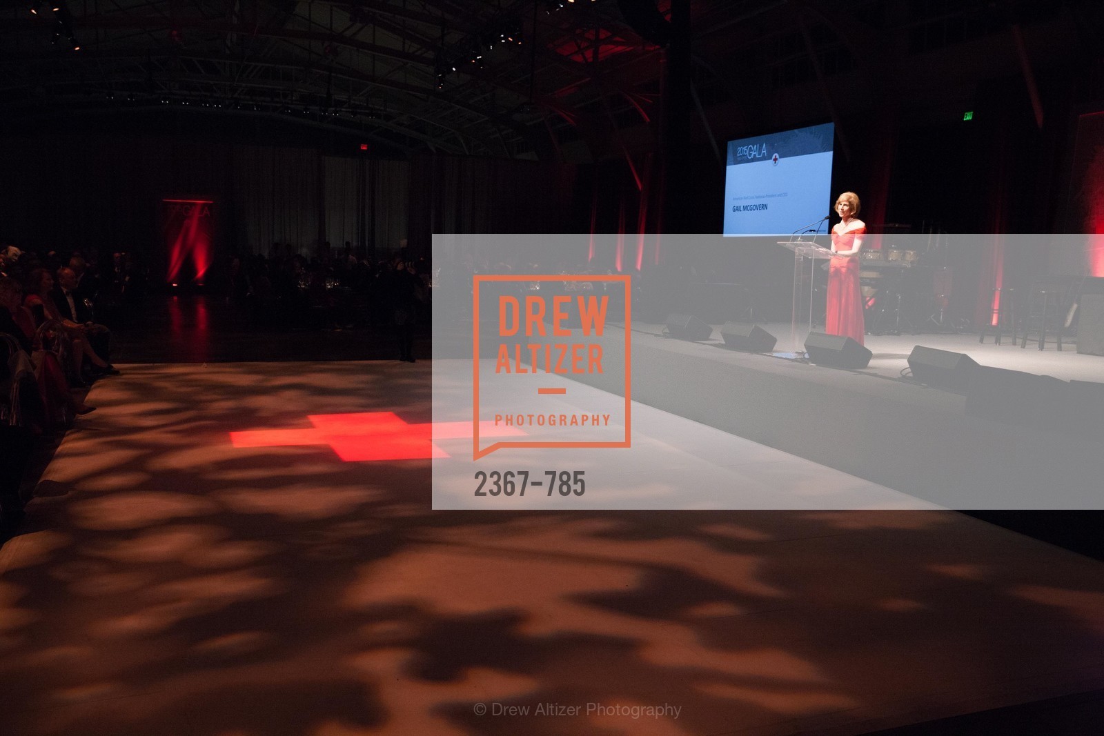 Gail McGovern, 2015 RED CROSS Gala, US, April 12th, 2015,Drew Altizer, Drew Altizer Photography, full-service agency, private events, San Francisco photographer, photographer california
