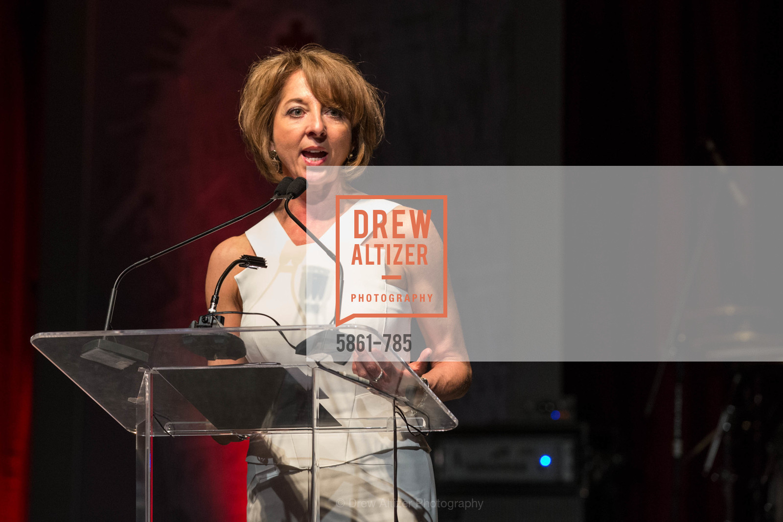 Teresa Briggs, 2015 RED CROSS Gala, US, April 12th, 2015,Drew Altizer, Drew Altizer Photography, full-service agency, private events, San Francisco photographer, photographer california