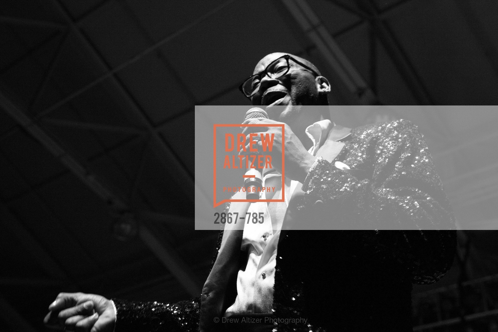 Performance By The Four Tops, 2015 RED CROSS Gala, US, April 12th, 2015,Drew Altizer, Drew Altizer Photography, full-service agency, private events, San Francisco photographer, photographer california