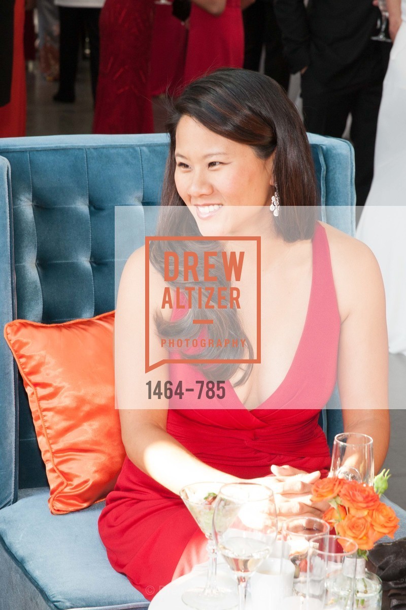 Top Picks, 2015 RED CROSS Gala, April 12th, 2015, Photo,Drew Altizer, Drew Altizer Photography, full-service agency, private events, San Francisco photographer, photographer california