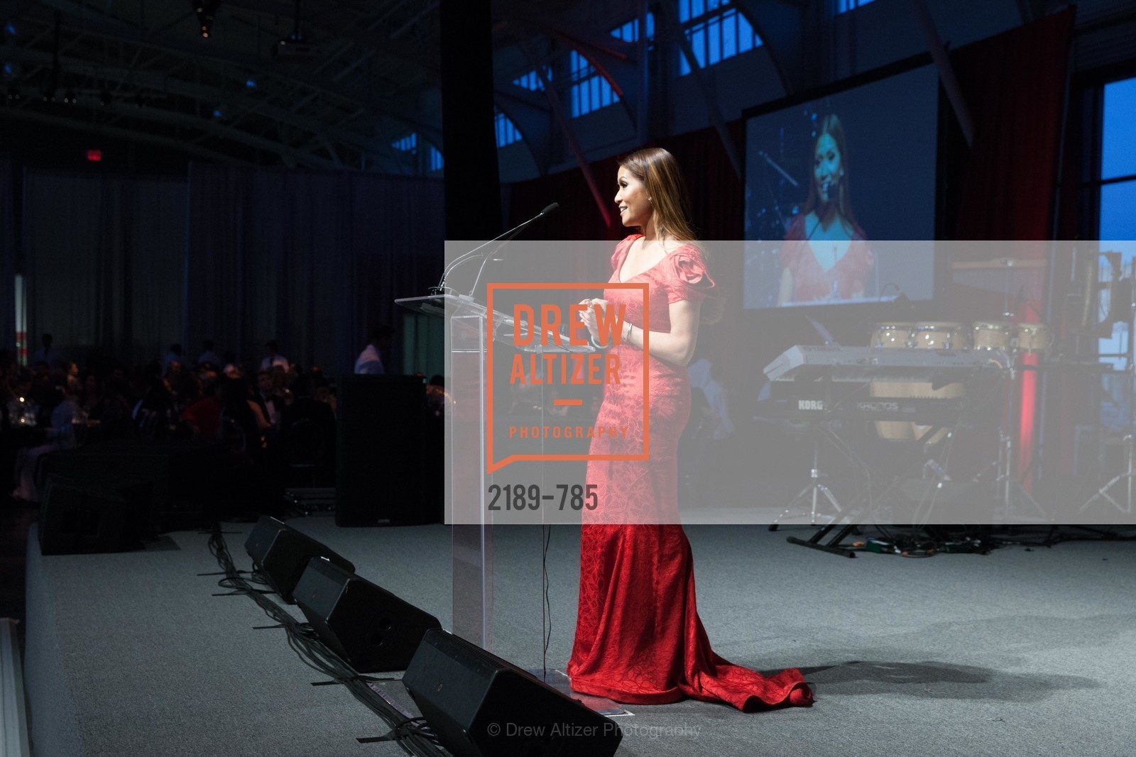 Lillian Phan, 2015 RED CROSS Gala, US, April 12th, 2015,Drew Altizer, Drew Altizer Photography, full-service agency, private events, San Francisco photographer, photographer california