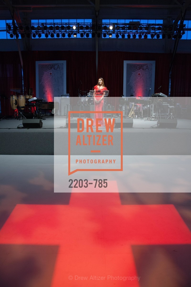 Lillian Phan, 2015 RED CROSS Gala, US, April 12th, 2015,Drew Altizer, Drew Altizer Photography, full-service agency, private events, San Francisco photographer, photographer california