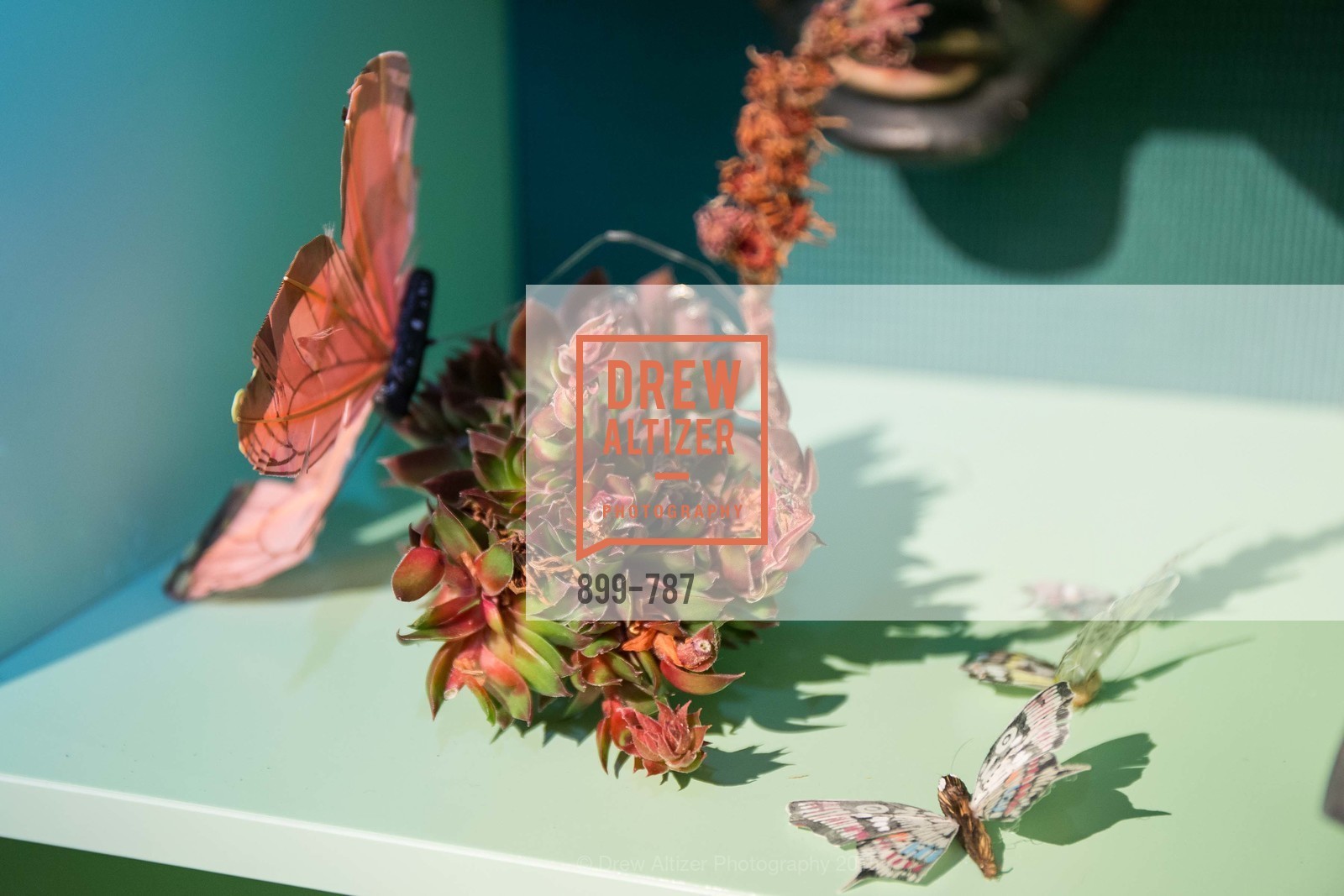 Atmosphere, Bently Engagement, US, April 14th, 2015,Drew Altizer, Drew Altizer Photography, full-service agency, private events, San Francisco photographer, photographer california