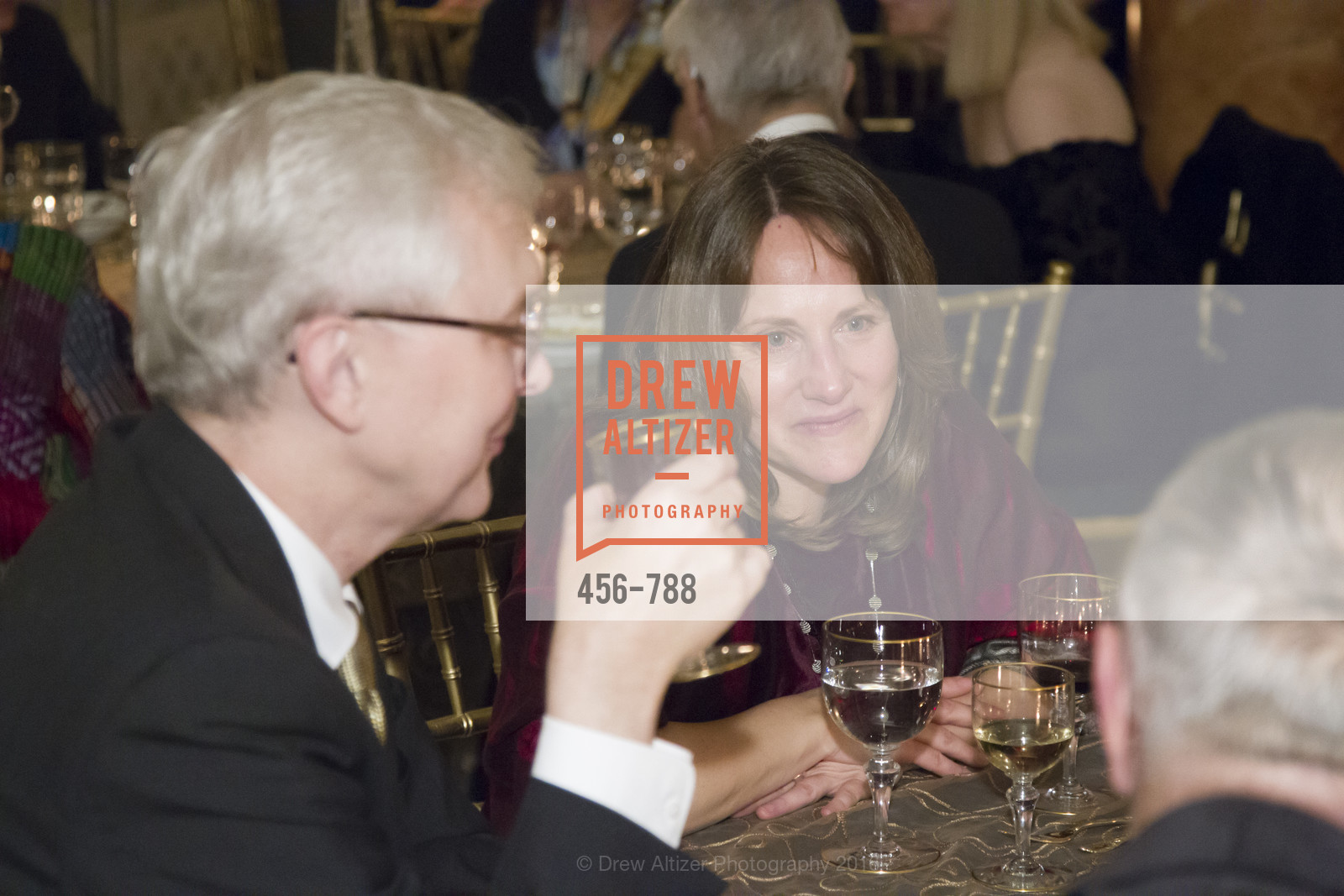 Becky Gambatese, Reception for the Philharmonia Baroque Orchestra, Private Residence. 2525 Van Ness St, February 2nd, 2016,Drew Altizer, Drew Altizer Photography, full-service event agency, private events, San Francisco photographer, photographer California