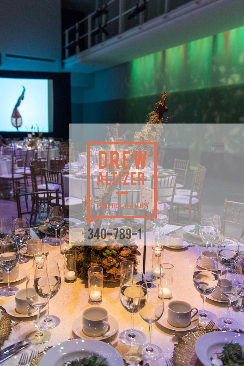Atmosphere, ALONZO KING LINE'S Ballet Spring Gala 2015, US, April 12th, 2015,Drew Altizer, Drew Altizer Photography, full-service agency, private events, San Francisco photographer, photographer california