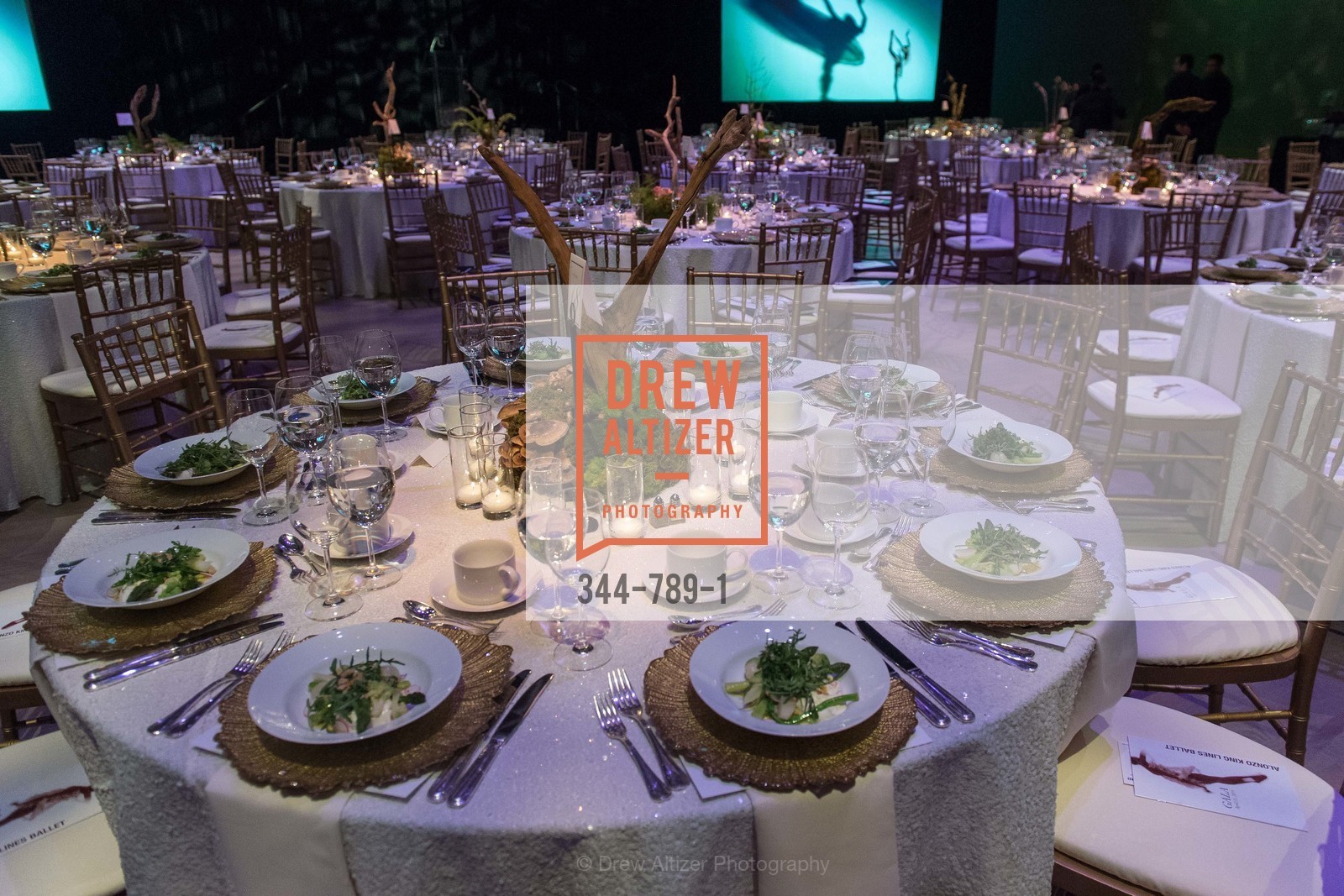 Atmosphere, ALONZO KING LINE'S Ballet Spring Gala 2015, US, April 12th, 2015,Drew Altizer, Drew Altizer Photography, full-service agency, private events, San Francisco photographer, photographer california