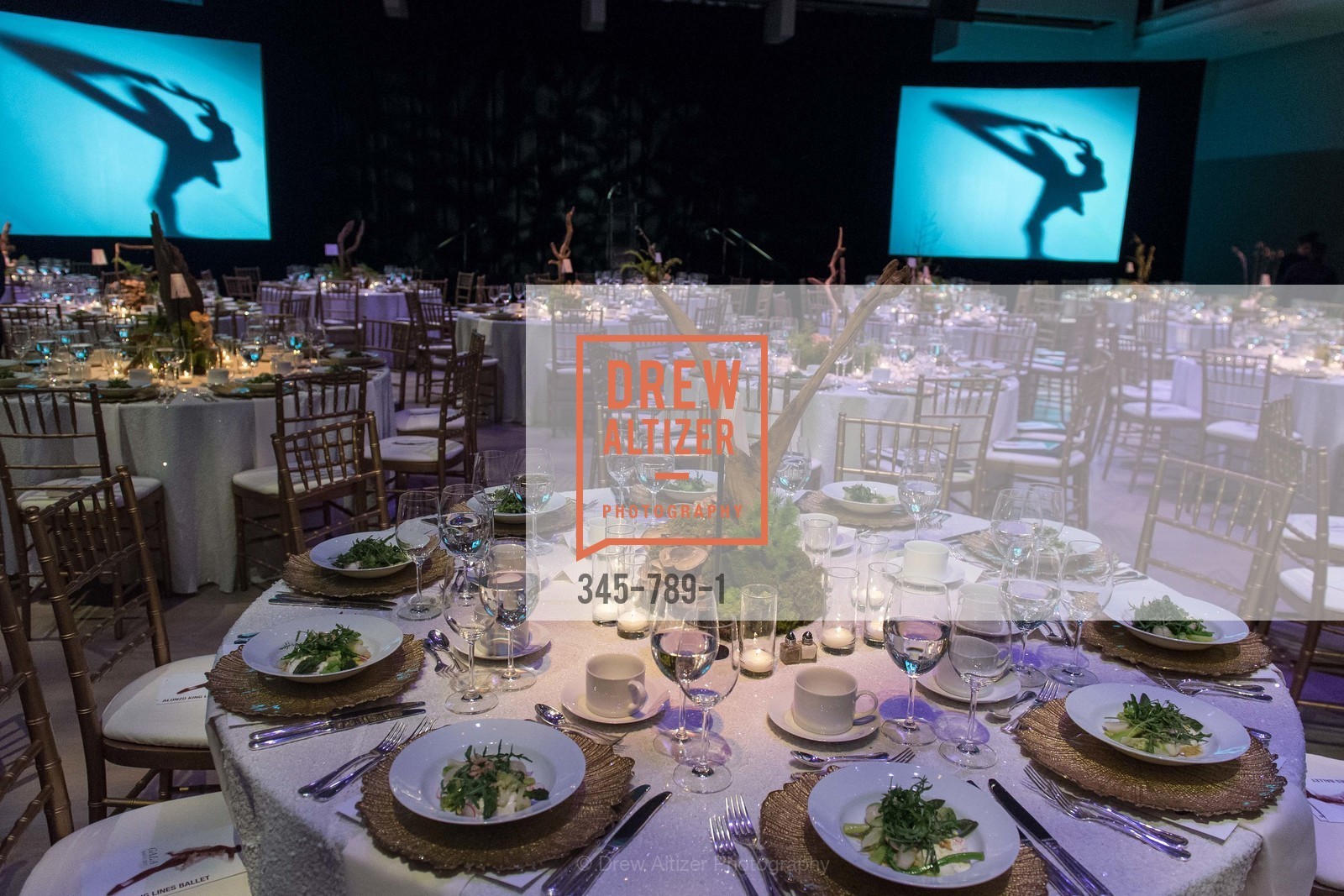 Atmosphere, ALONZO KING LINE'S Ballet Spring Gala 2015, US, April 12th, 2015,Drew Altizer, Drew Altizer Photography, full-service agency, private events, San Francisco photographer, photographer california