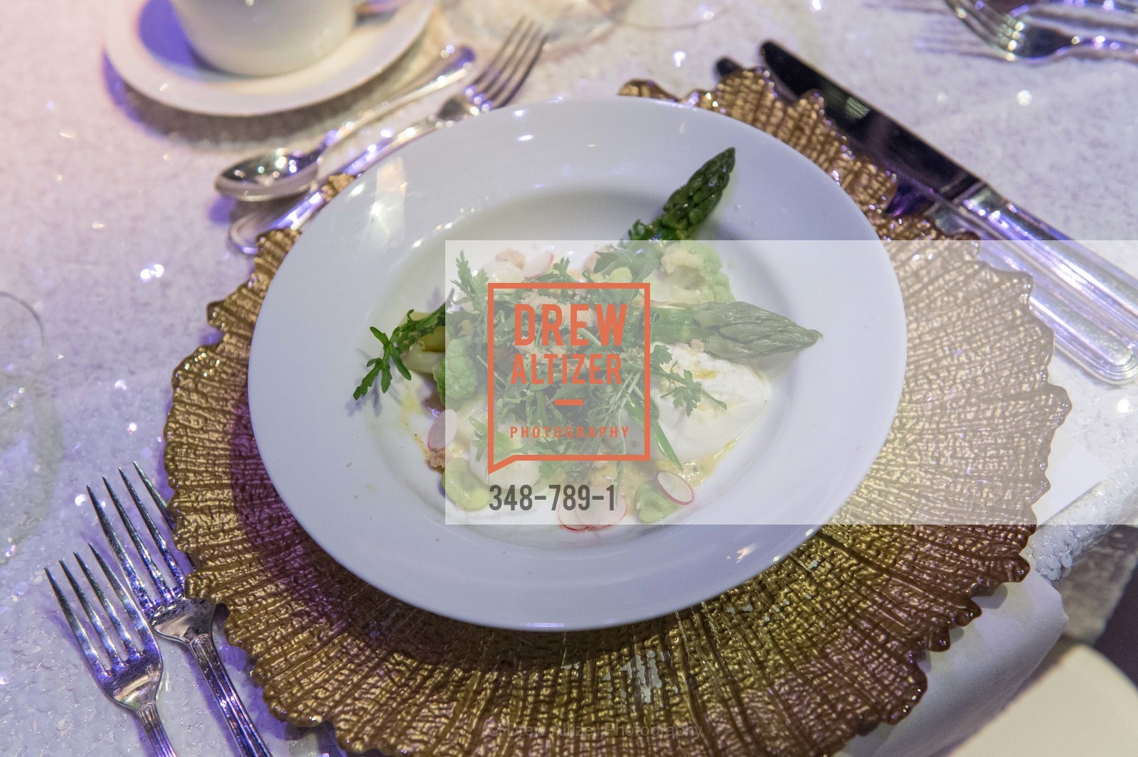 Atmosphere, ALONZO KING LINE'S Ballet Spring Gala 2015, US, April 12th, 2015,Drew Altizer, Drew Altizer Photography, full-service agency, private events, San Francisco photographer, photographer california