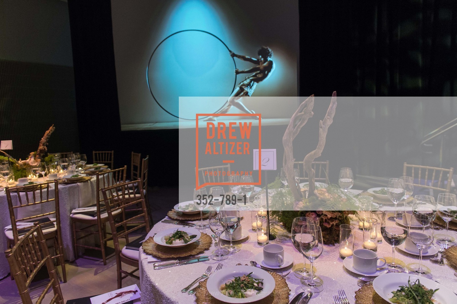 Atmosphere, ALONZO KING LINE'S Ballet Spring Gala 2015, US, April 12th, 2015,Drew Altizer, Drew Altizer Photography, full-service agency, private events, San Francisco photographer, photographer california