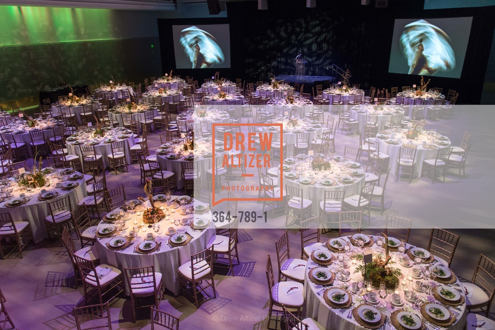 Atmosphere, ALONZO KING LINE'S Ballet Spring Gala 2015, US, April 12th, 2015,Drew Altizer, Drew Altizer Photography, full-service event agency, private events, San Francisco photographer, photographer California