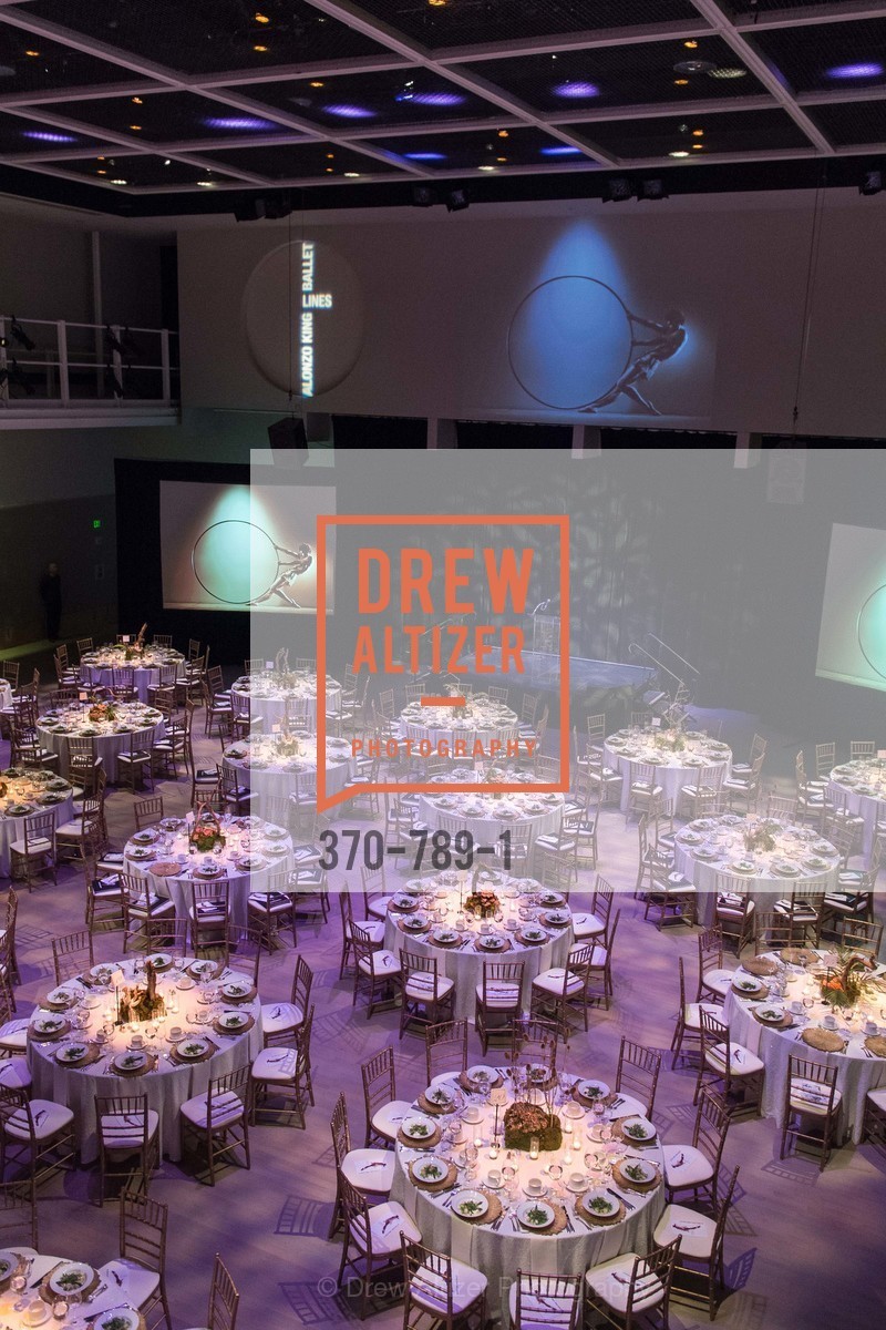 Atmosphere, ALONZO KING LINE'S Ballet Spring Gala 2015, US, April 12th, 2015,Drew Altizer, Drew Altizer Photography, full-service agency, private events, San Francisco photographer, photographer california