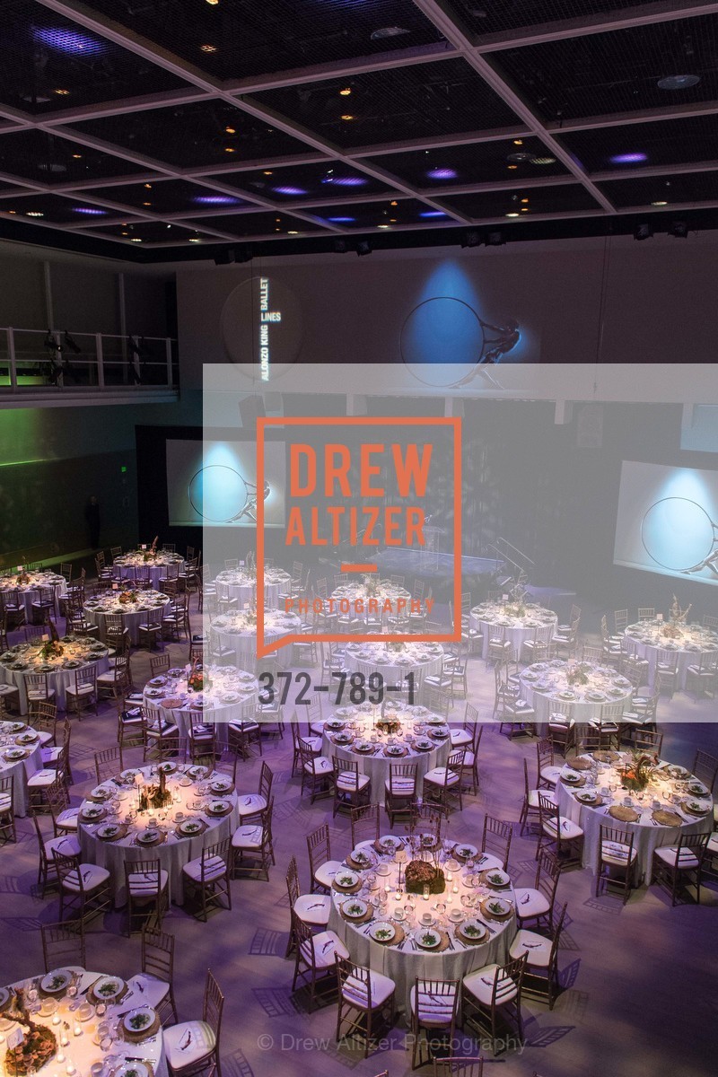 Atmosphere, ALONZO KING LINE'S Ballet Spring Gala 2015, US, April 12th, 2015,Drew Altizer, Drew Altizer Photography, full-service agency, private events, San Francisco photographer, photographer california