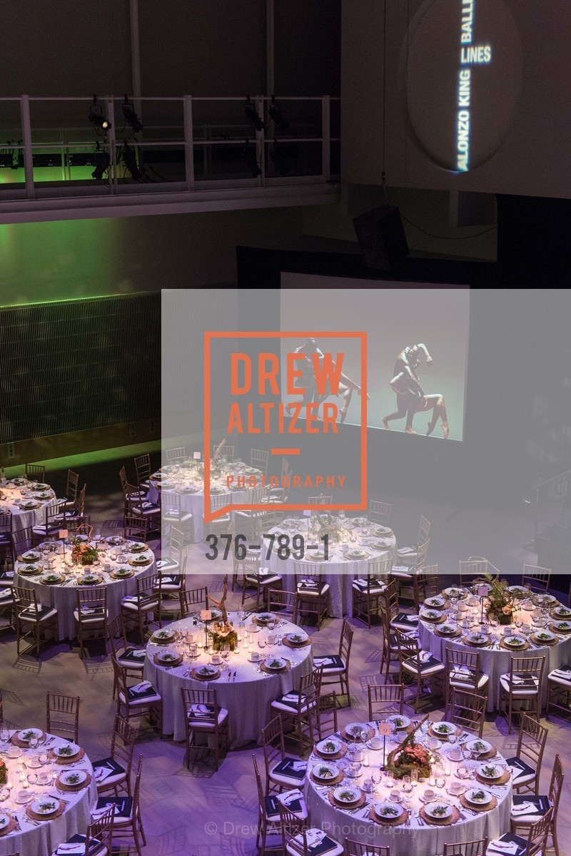 Atmosphere, ALONZO KING LINE'S Ballet Spring Gala 2015, US, April 12th, 2015,Drew Altizer, Drew Altizer Photography, full-service agency, private events, San Francisco photographer, photographer california