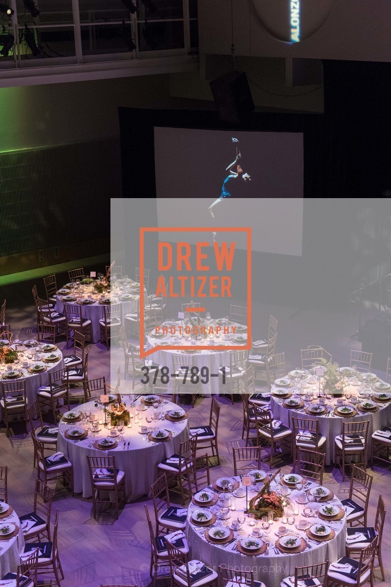 Atmosphere, ALONZO KING LINE'S Ballet Spring Gala 2015, US, April 12th, 2015,Drew Altizer, Drew Altizer Photography, full-service event agency, private events, San Francisco photographer, photographer California