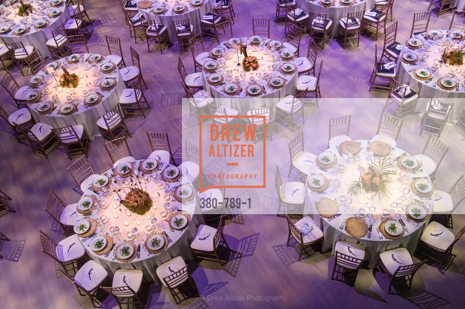 Atmosphere, ALONZO KING LINE'S Ballet Spring Gala 2015, US, April 12th, 2015,Drew Altizer, Drew Altizer Photography, full-service agency, private events, San Francisco photographer, photographer california
