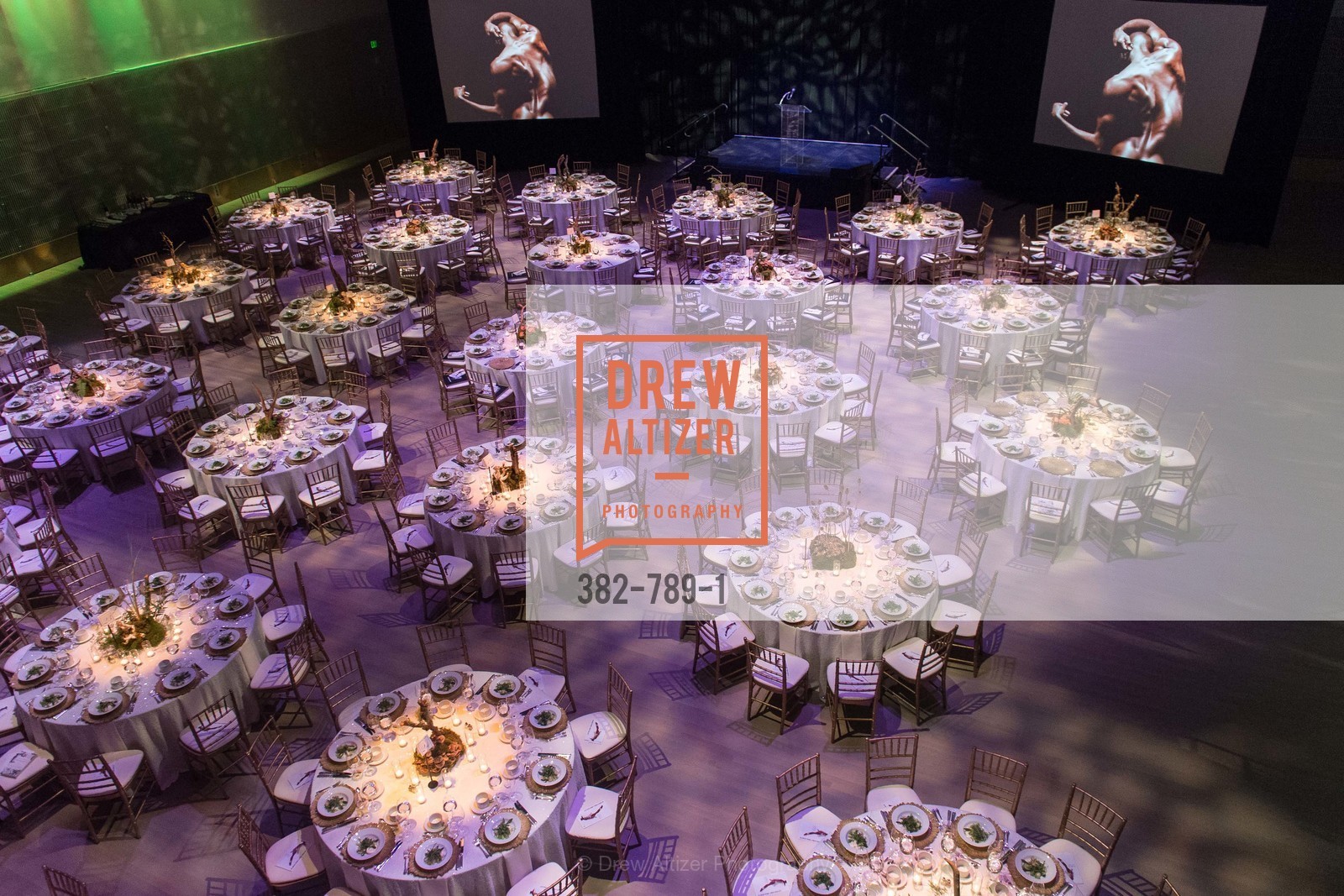 Atmosphere, ALONZO KING LINE'S Ballet Spring Gala 2015, US, April 12th, 2015,Drew Altizer, Drew Altizer Photography, full-service agency, private events, San Francisco photographer, photographer california