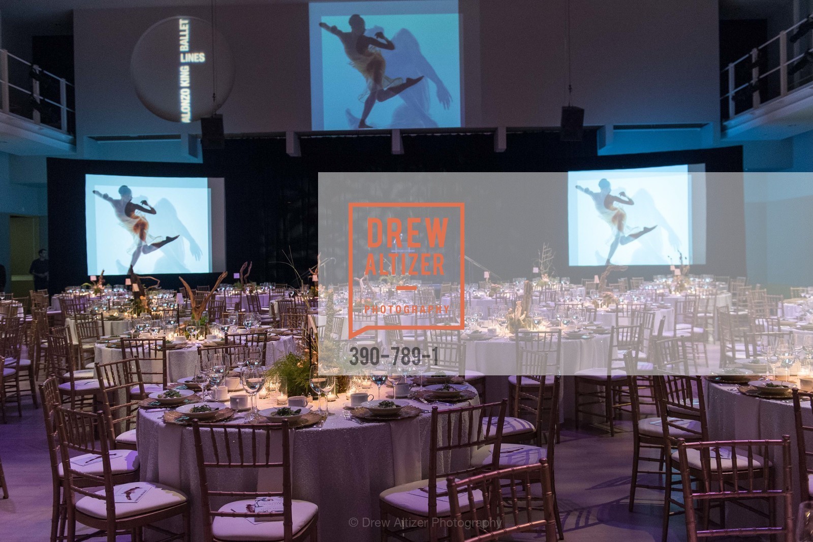 Atmosphere, ALONZO KING LINE'S Ballet Spring Gala 2015, US, April 12th, 2015,Drew Altizer, Drew Altizer Photography, full-service agency, private events, San Francisco photographer, photographer california