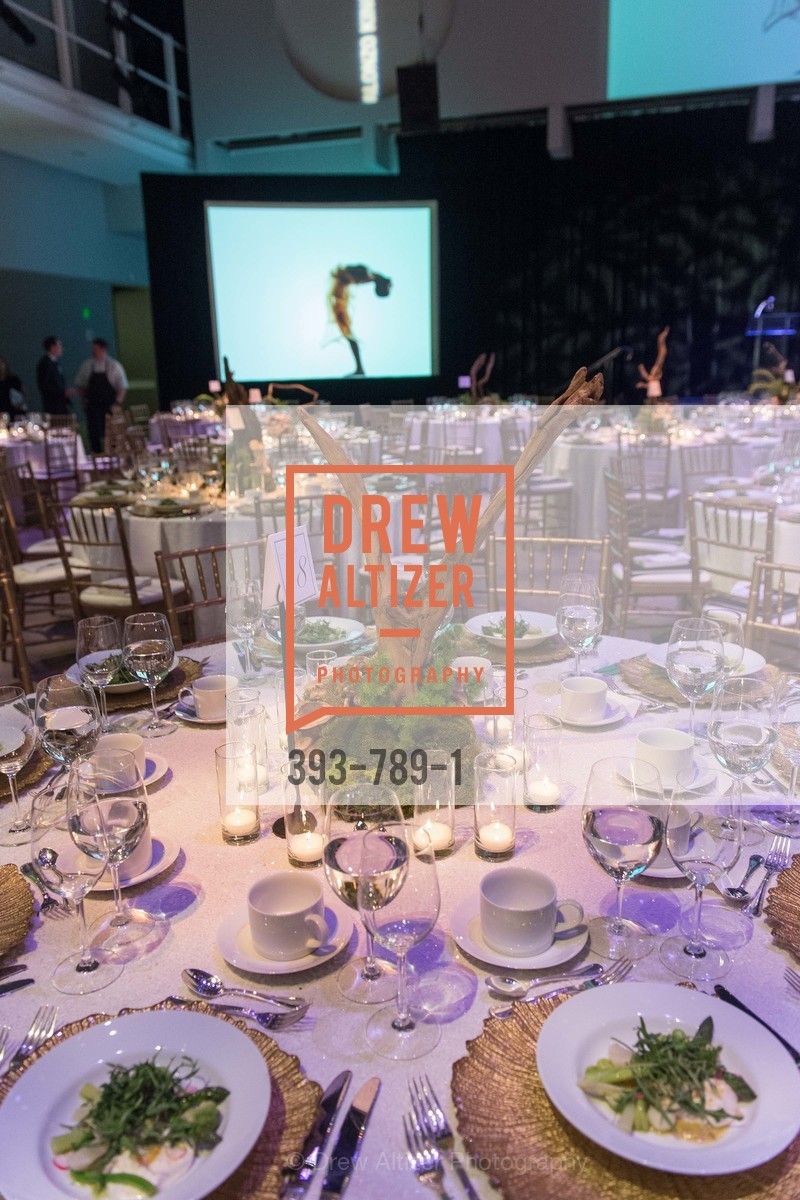 Atmosphere, ALONZO KING LINE'S Ballet Spring Gala 2015, US, April 12th, 2015,Drew Altizer, Drew Altizer Photography, full-service agency, private events, San Francisco photographer, photographer california