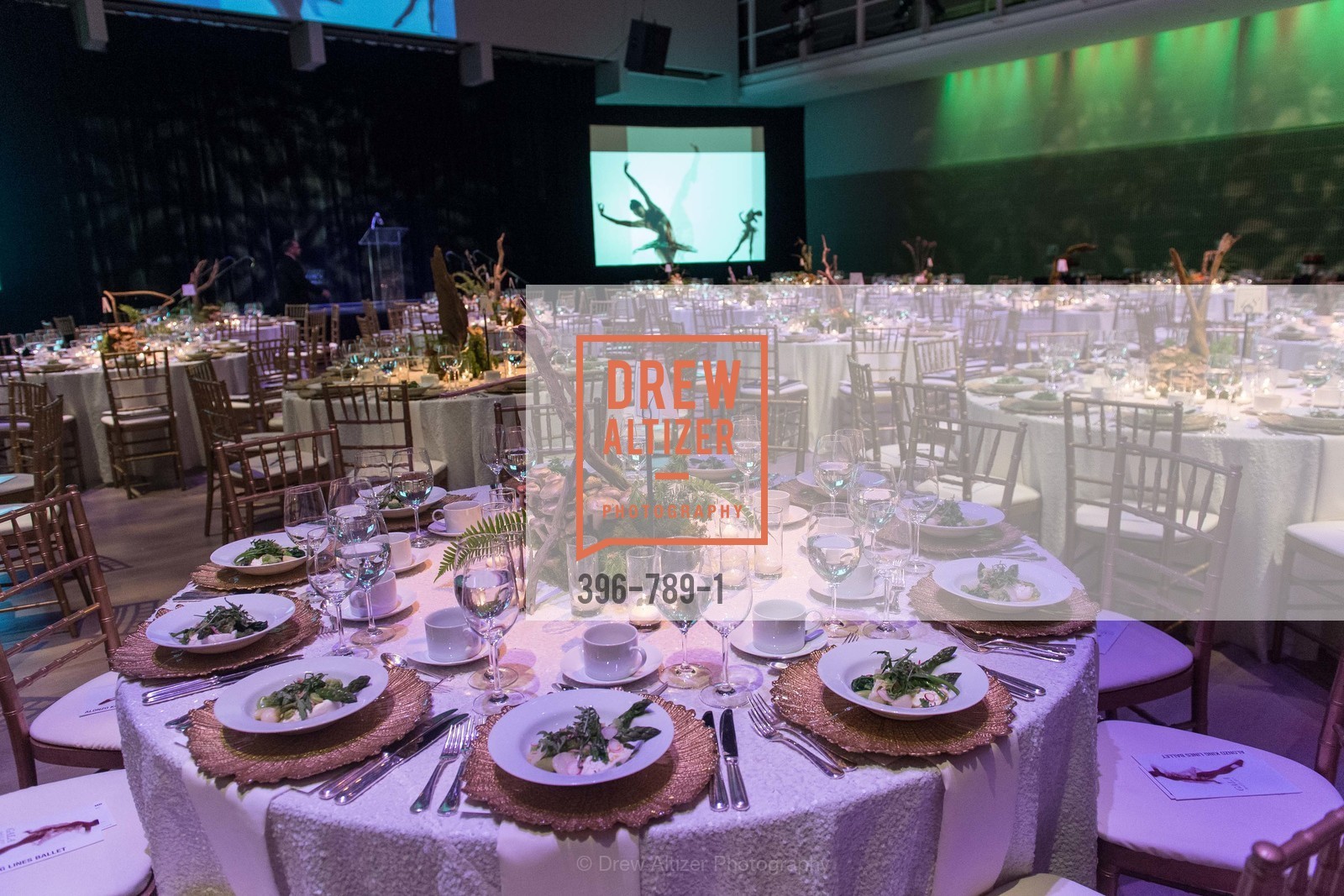 Atmosphere, ALONZO KING LINE'S Ballet Spring Gala 2015, US, April 12th, 2015,Drew Altizer, Drew Altizer Photography, full-service agency, private events, San Francisco photographer, photographer california