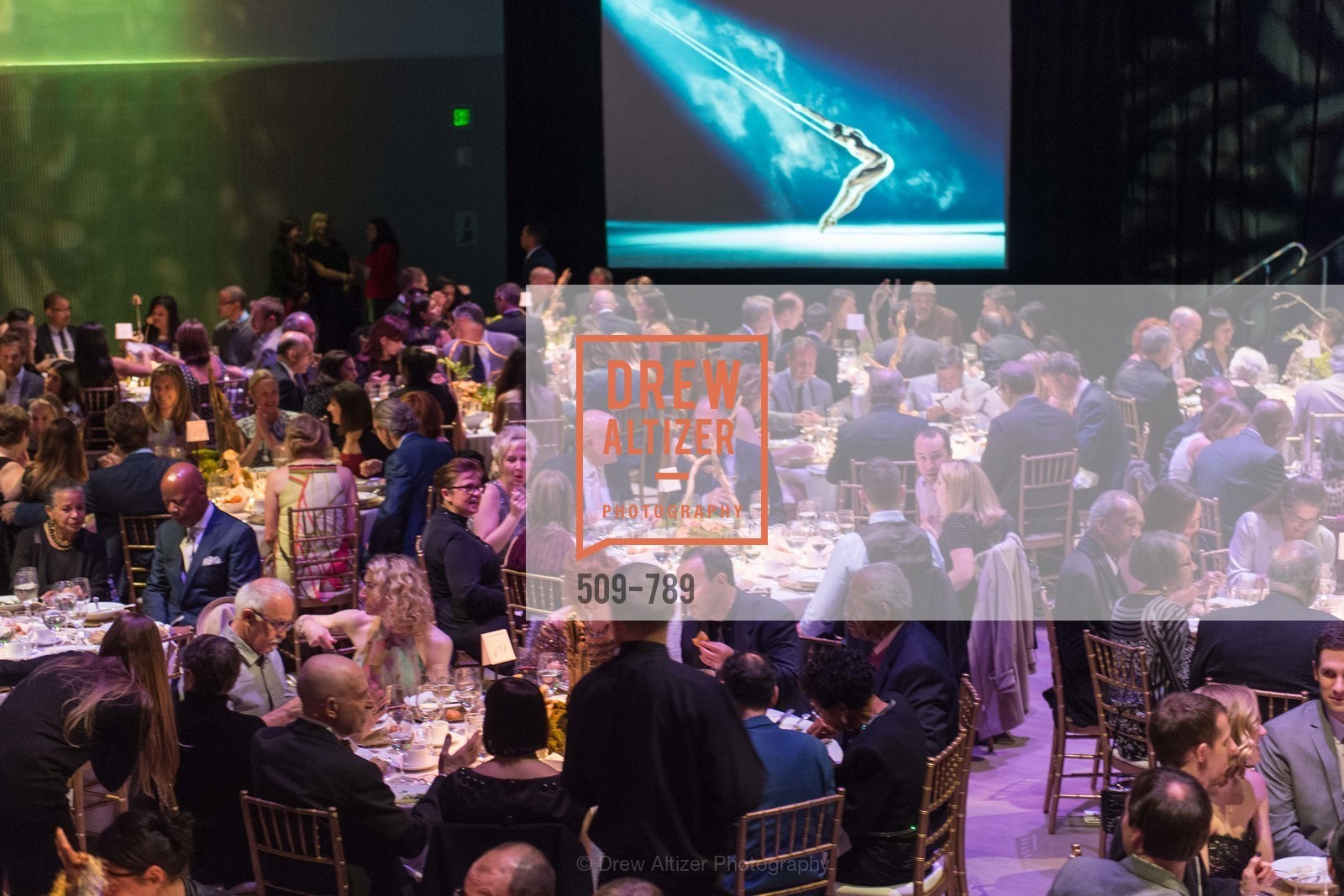Atmosphere, ALONZO KING LINE'S Ballet Spring Gala 2015, US, April 12th, 2015,Drew Altizer, Drew Altizer Photography, full-service agency, private events, San Francisco photographer, photographer california