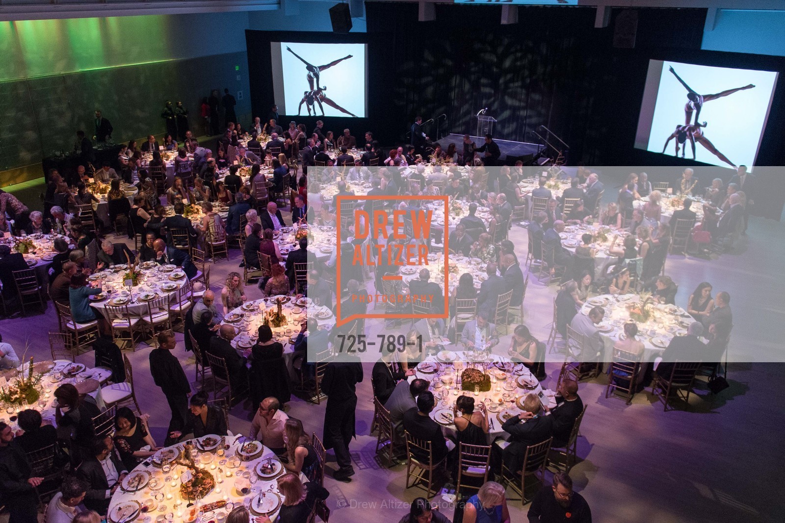 Atmosphere, ALONZO KING LINE'S Ballet Spring Gala 2015, US, April 12th, 2015,Drew Altizer, Drew Altizer Photography, full-service agency, private events, San Francisco photographer, photographer california