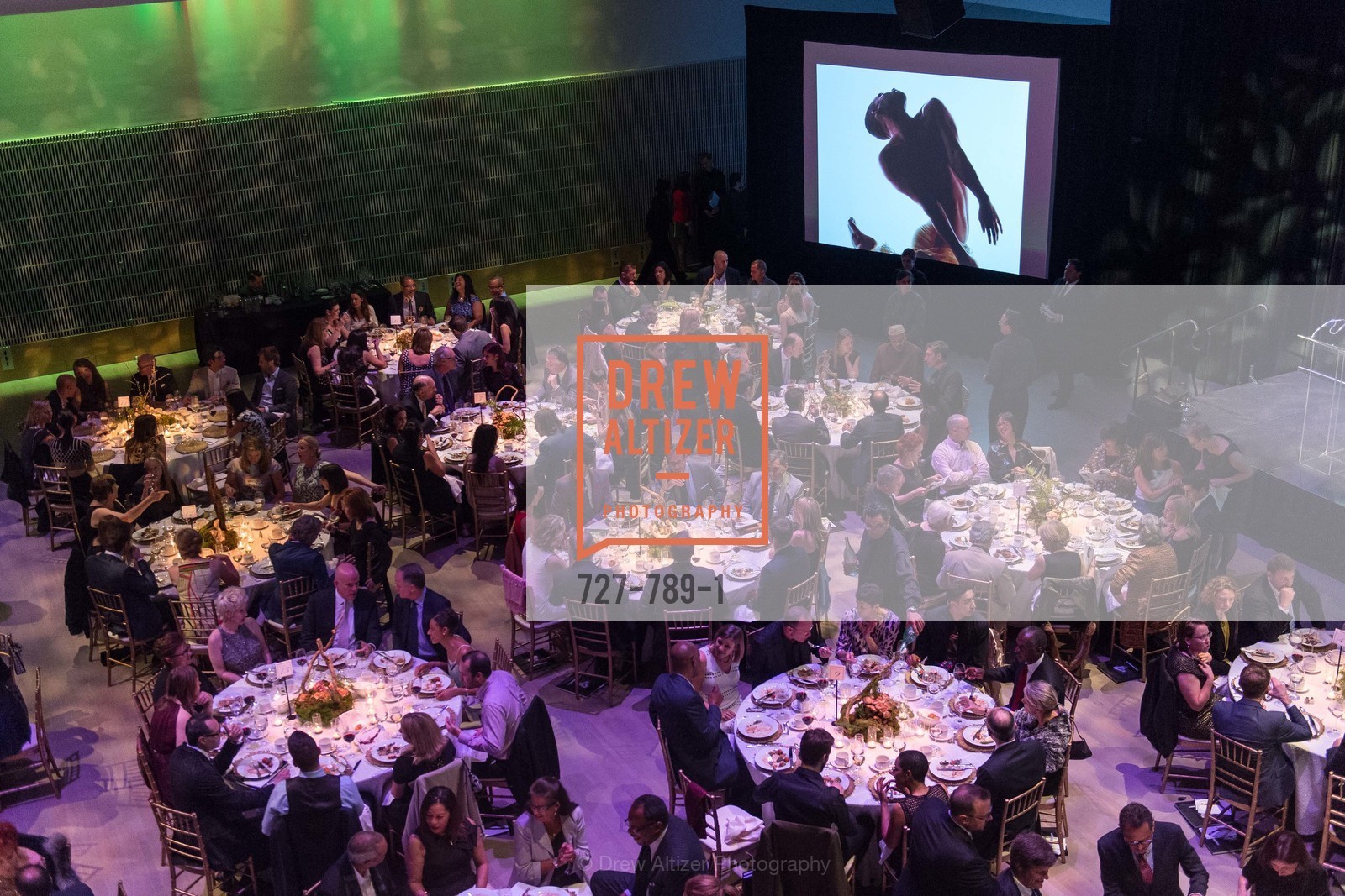 Atmosphere, ALONZO KING LINE'S Ballet Spring Gala 2015, US, April 12th, 2015,Drew Altizer, Drew Altizer Photography, full-service agency, private events, San Francisco photographer, photographer california