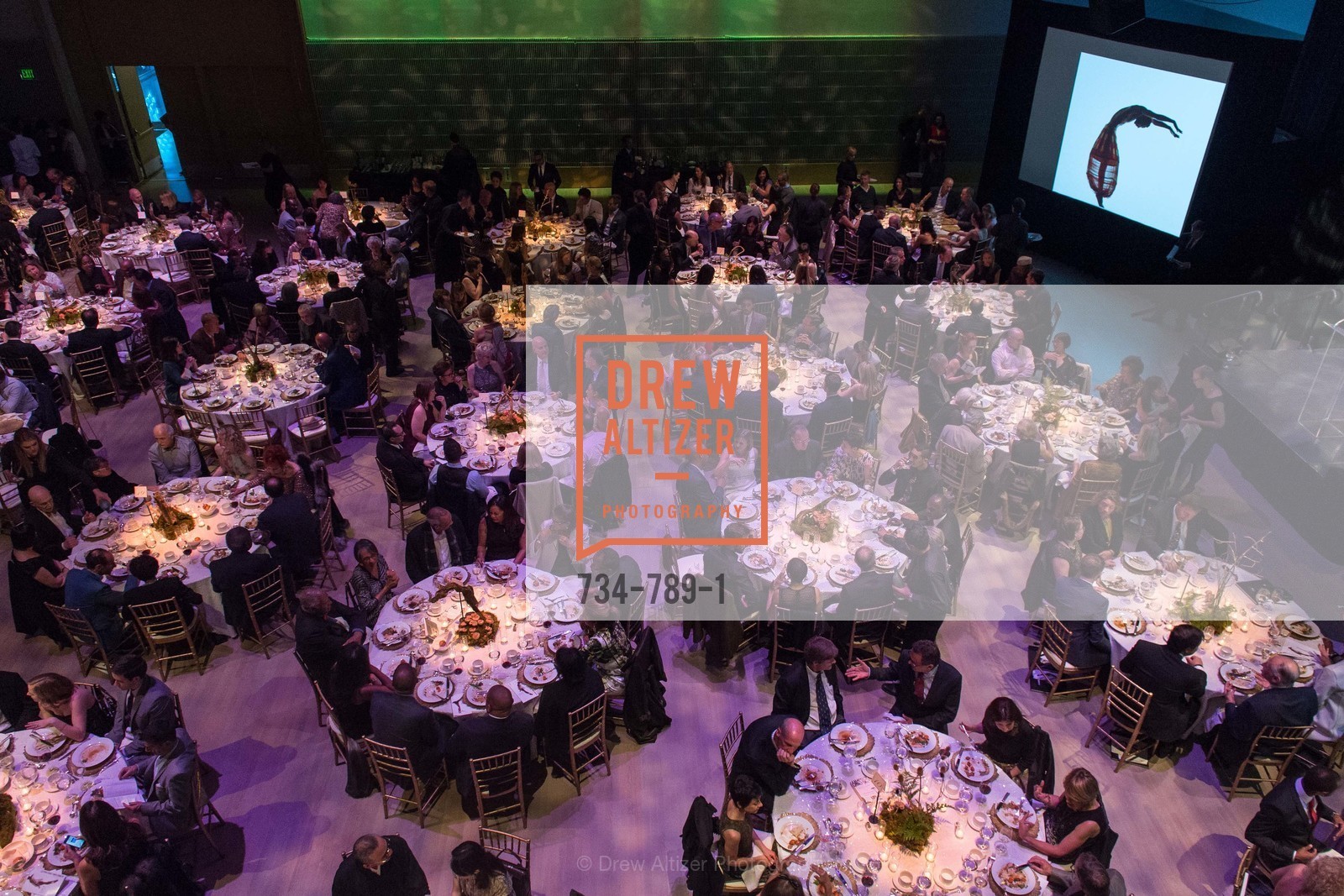 Atmosphere, ALONZO KING LINE'S Ballet Spring Gala 2015, US, April 12th, 2015,Drew Altizer, Drew Altizer Photography, full-service agency, private events, San Francisco photographer, photographer california