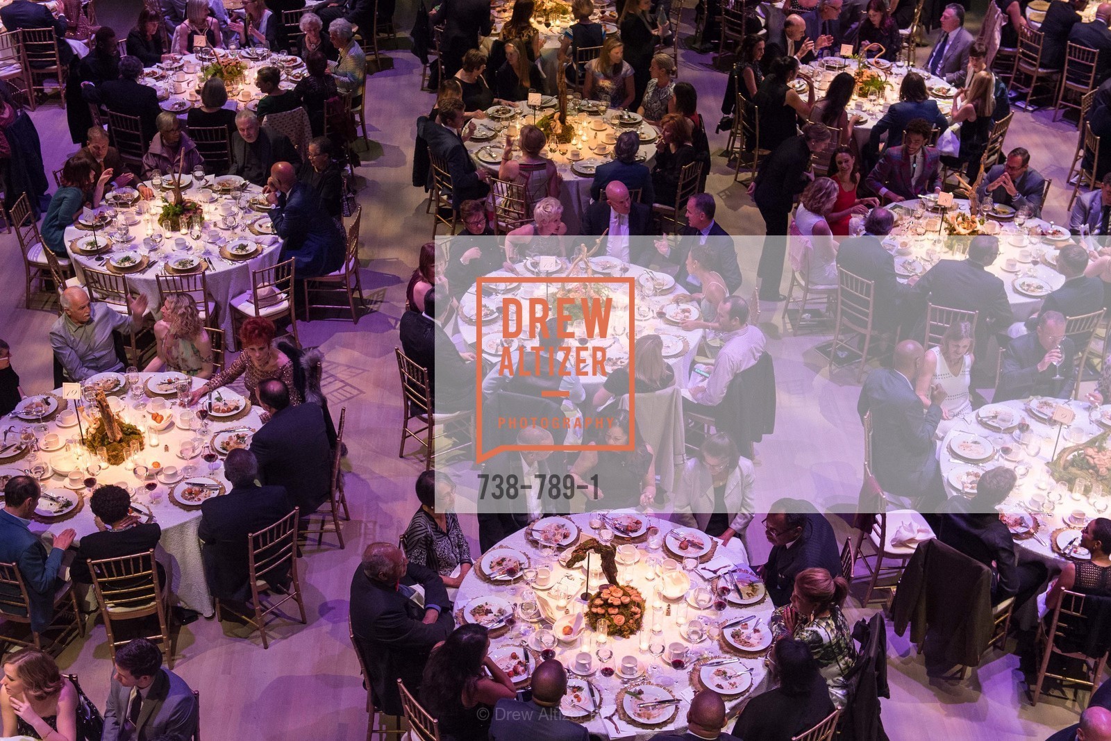 Atmosphere, ALONZO KING LINE'S Ballet Spring Gala 2015, US, April 12th, 2015,Drew Altizer, Drew Altizer Photography, full-service agency, private events, San Francisco photographer, photographer california
