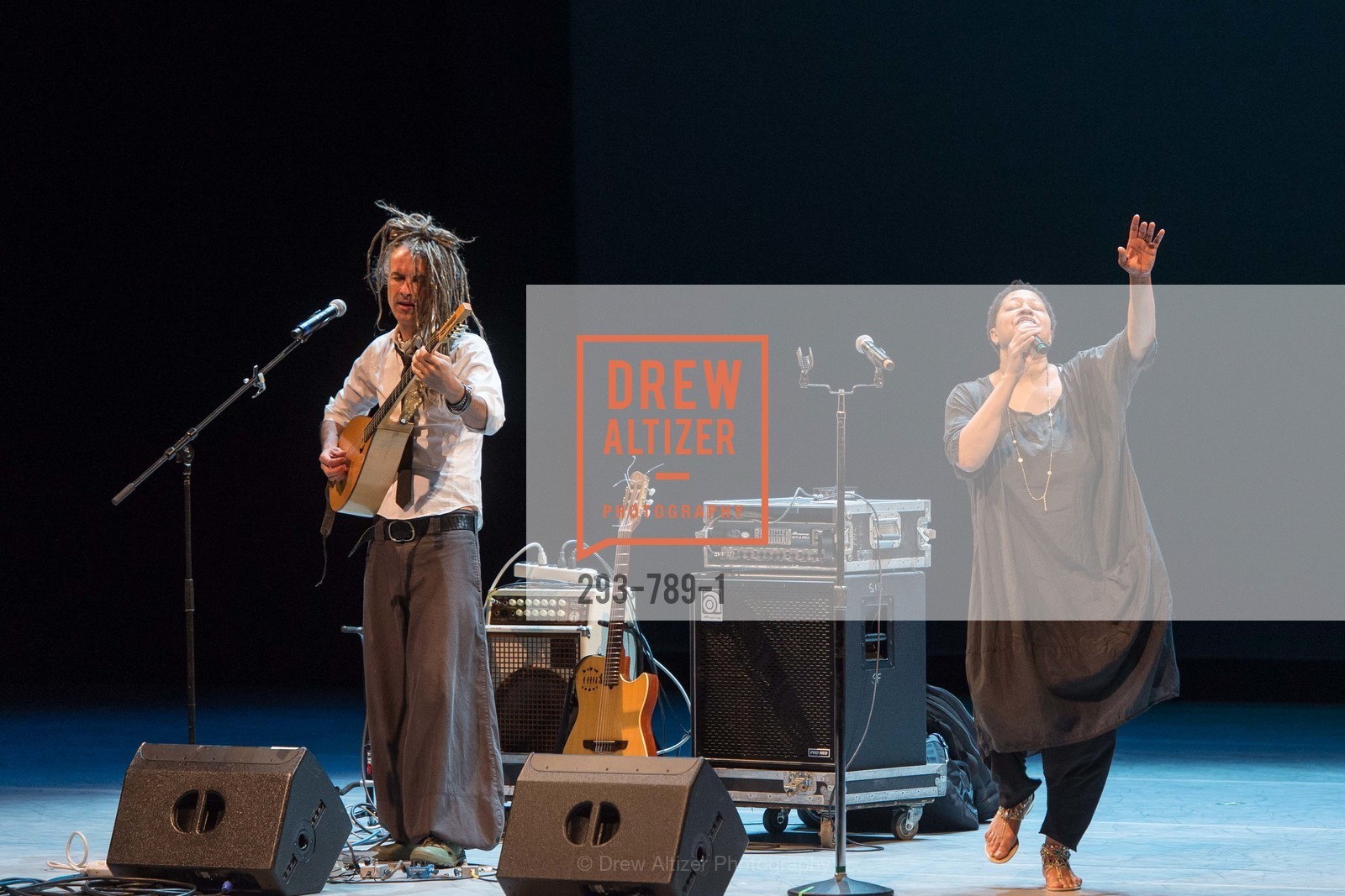 Lisa Fischer, ALONZO KING LINE'S Ballet Spring Gala 2015, US, April 12th, 2015,Drew Altizer, Drew Altizer Photography, full-service agency, private events, San Francisco photographer, photographer california