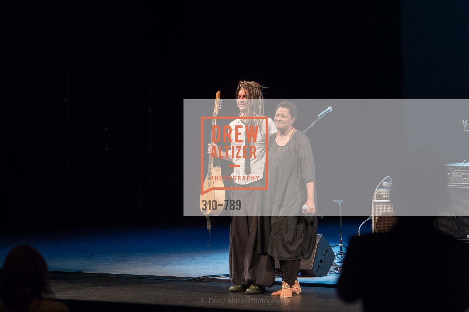 Lisa Fischer, ALONZO KING LINE'S Ballet Spring Gala 2015, US, April 12th, 2015,Drew Altizer, Drew Altizer Photography, full-service agency, private events, San Francisco photographer, photographer california