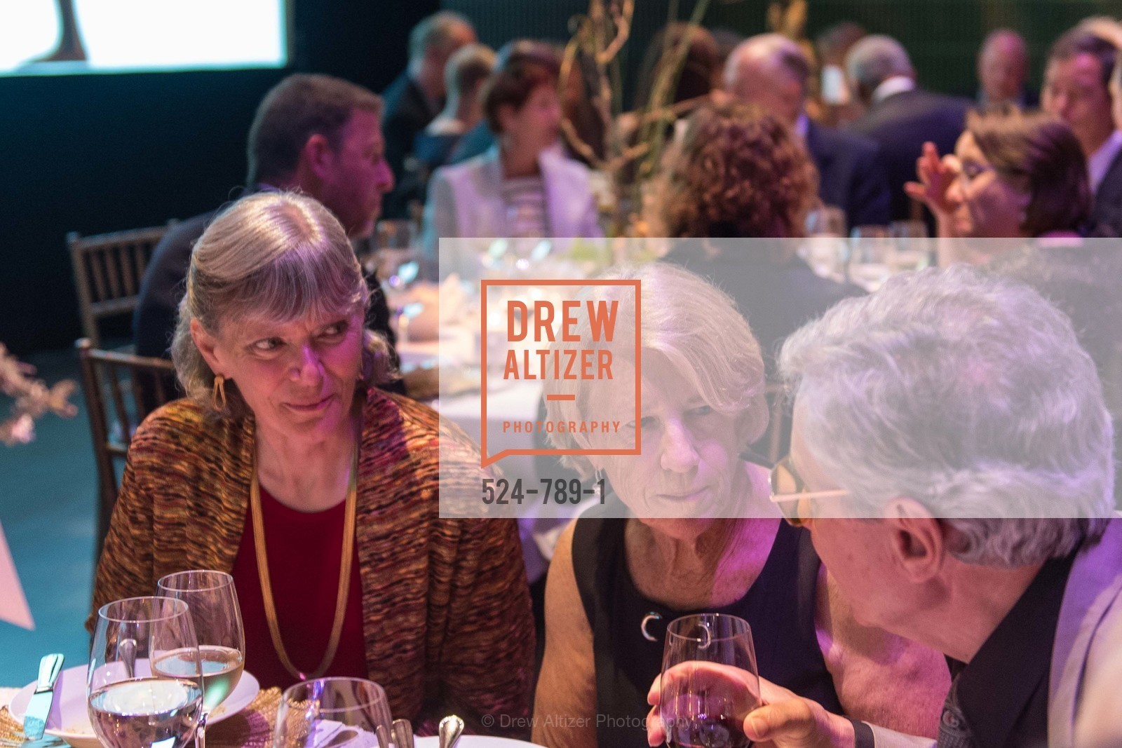 Extras, ALONZO KING LINE'S Ballet Spring Gala 2015, April 12th, 2015, Photo,Drew Altizer, Drew Altizer Photography, full-service event agency, private events, San Francisco photographer, photographer California