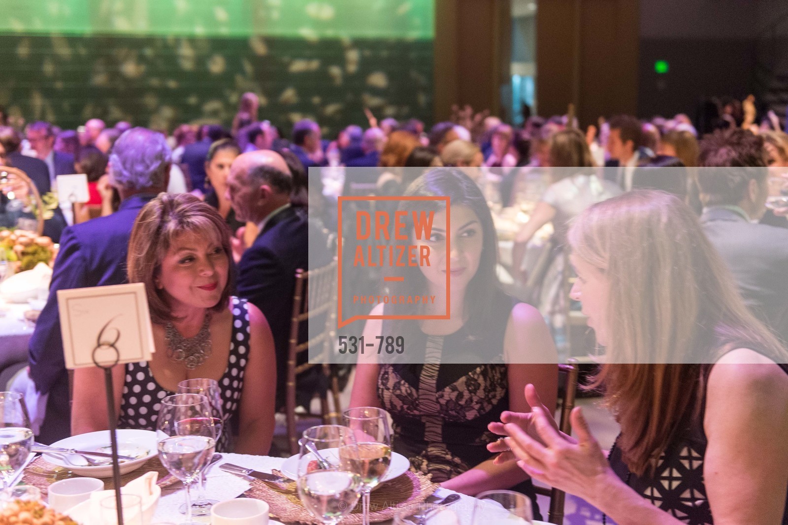 Extras, ALONZO KING LINE'S Ballet Spring Gala 2015, April 12th, 2015, Photo,Drew Altizer, Drew Altizer Photography, full-service agency, private events, San Francisco photographer, photographer california