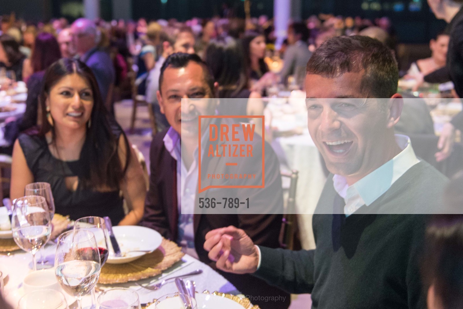 Extras, ALONZO KING LINE'S Ballet Spring Gala 2015, April 12th, 2015, Photo,Drew Altizer, Drew Altizer Photography, full-service agency, private events, San Francisco photographer, photographer california