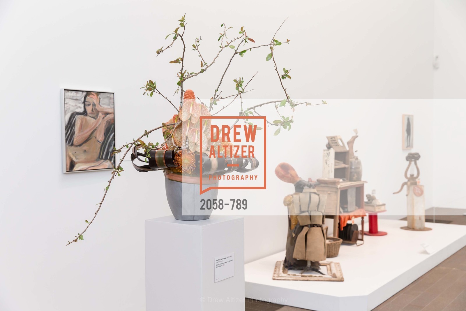 Atmosphere, ALONZO KING LINE'S Ballet Spring Gala 2015, US, April 12th, 2015,Drew Altizer, Drew Altizer Photography, full-service agency, private events, San Francisco photographer, photographer california