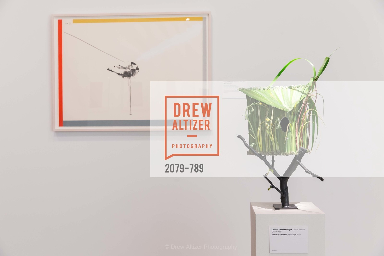 Atmosphere, ALONZO KING LINE'S Ballet Spring Gala 2015, US, April 12th, 2015,Drew Altizer, Drew Altizer Photography, full-service agency, private events, San Francisco photographer, photographer california